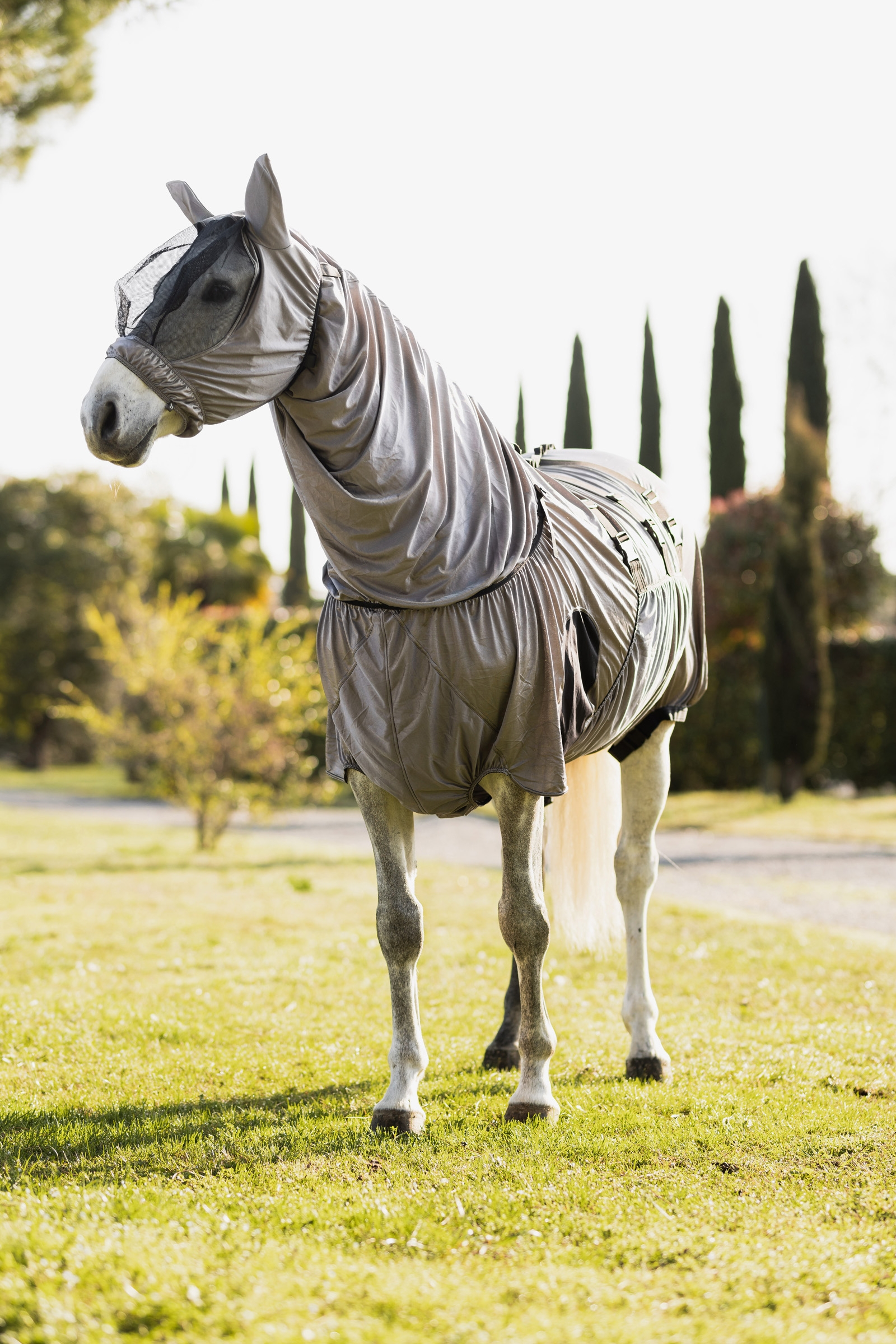 Horze Mountain Essence uv eksemhuva