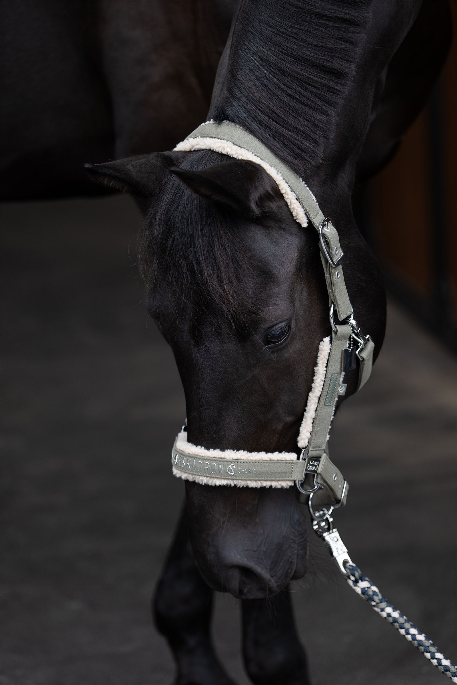 Eskadron Classic Sports SS25 Denim grimma med dubbelspänne och teddyfleece