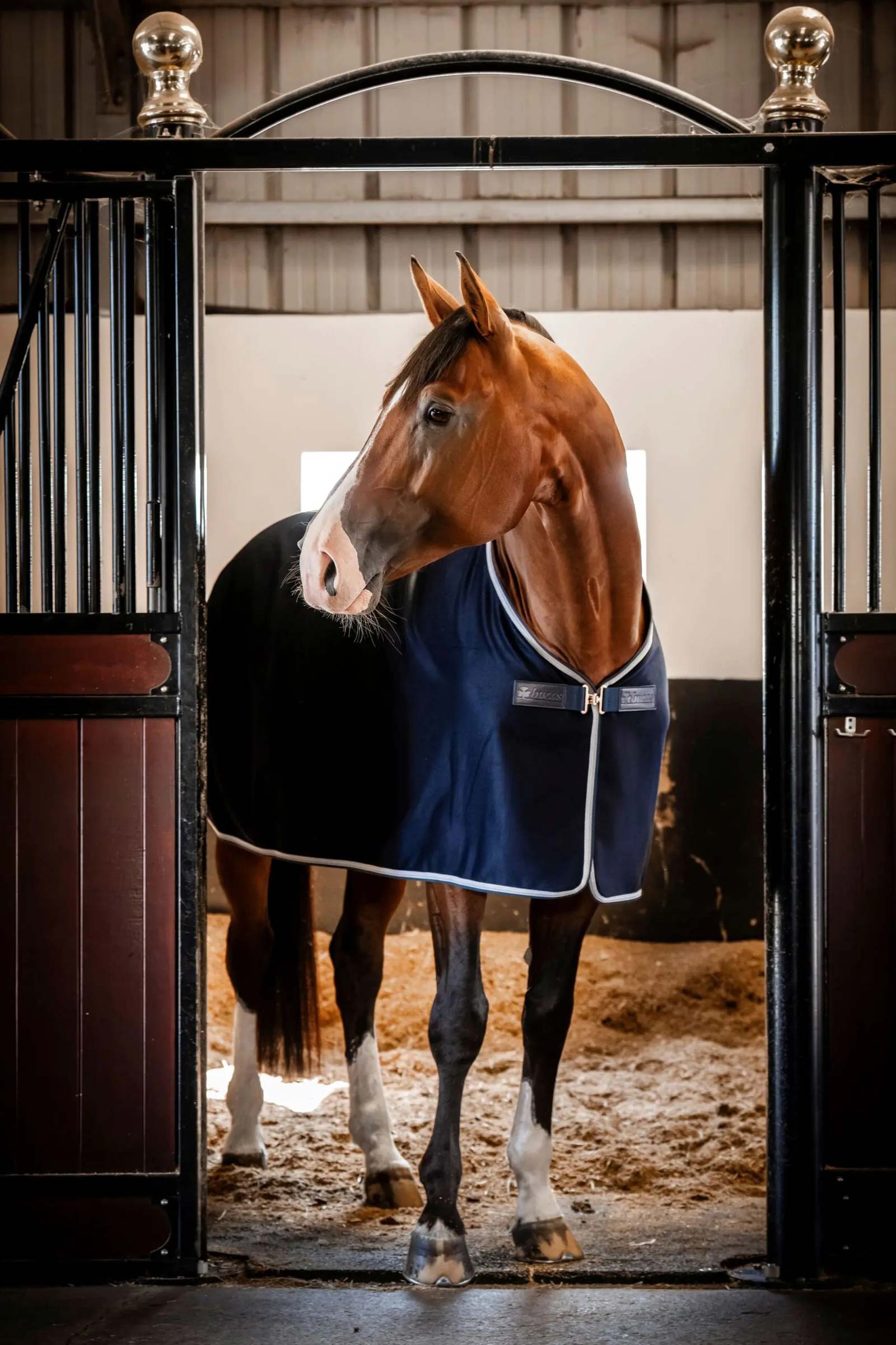 Bucas Emerald Ullteppe