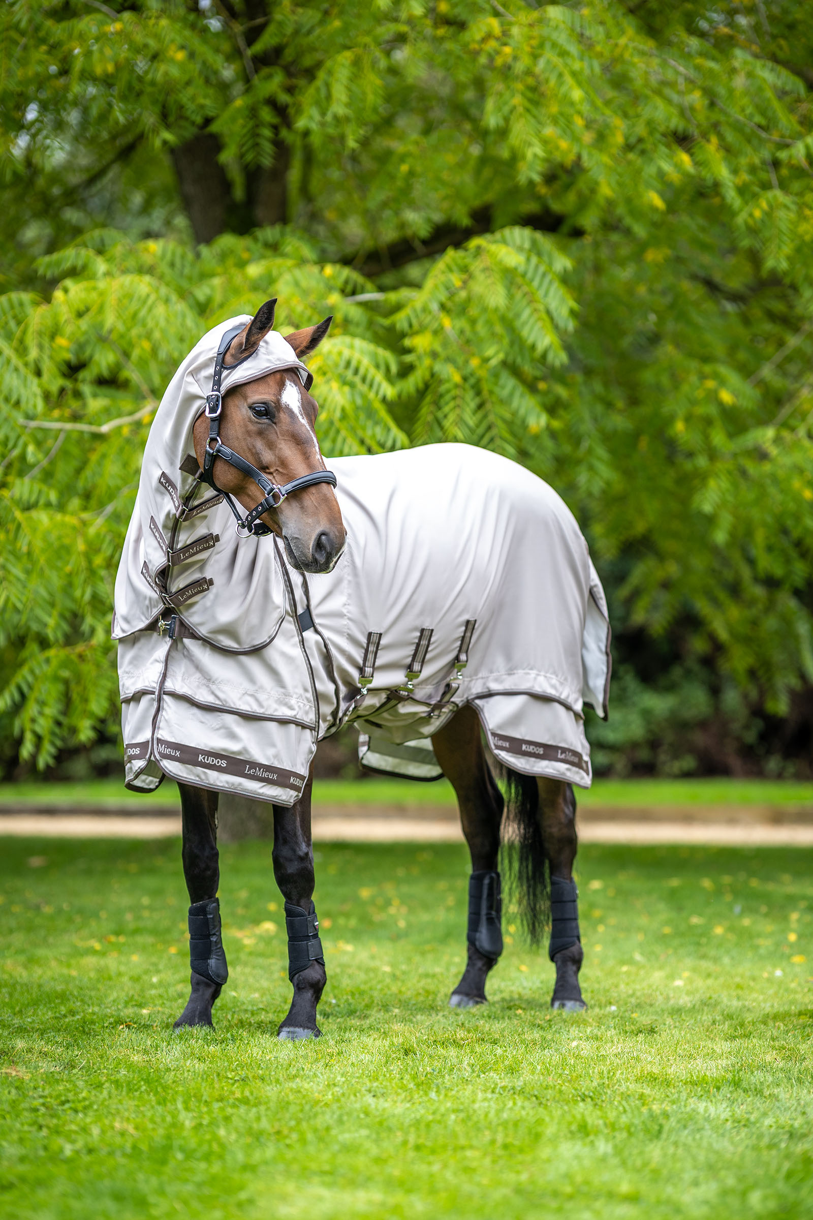 LeMieux Kudos eksemtäcke