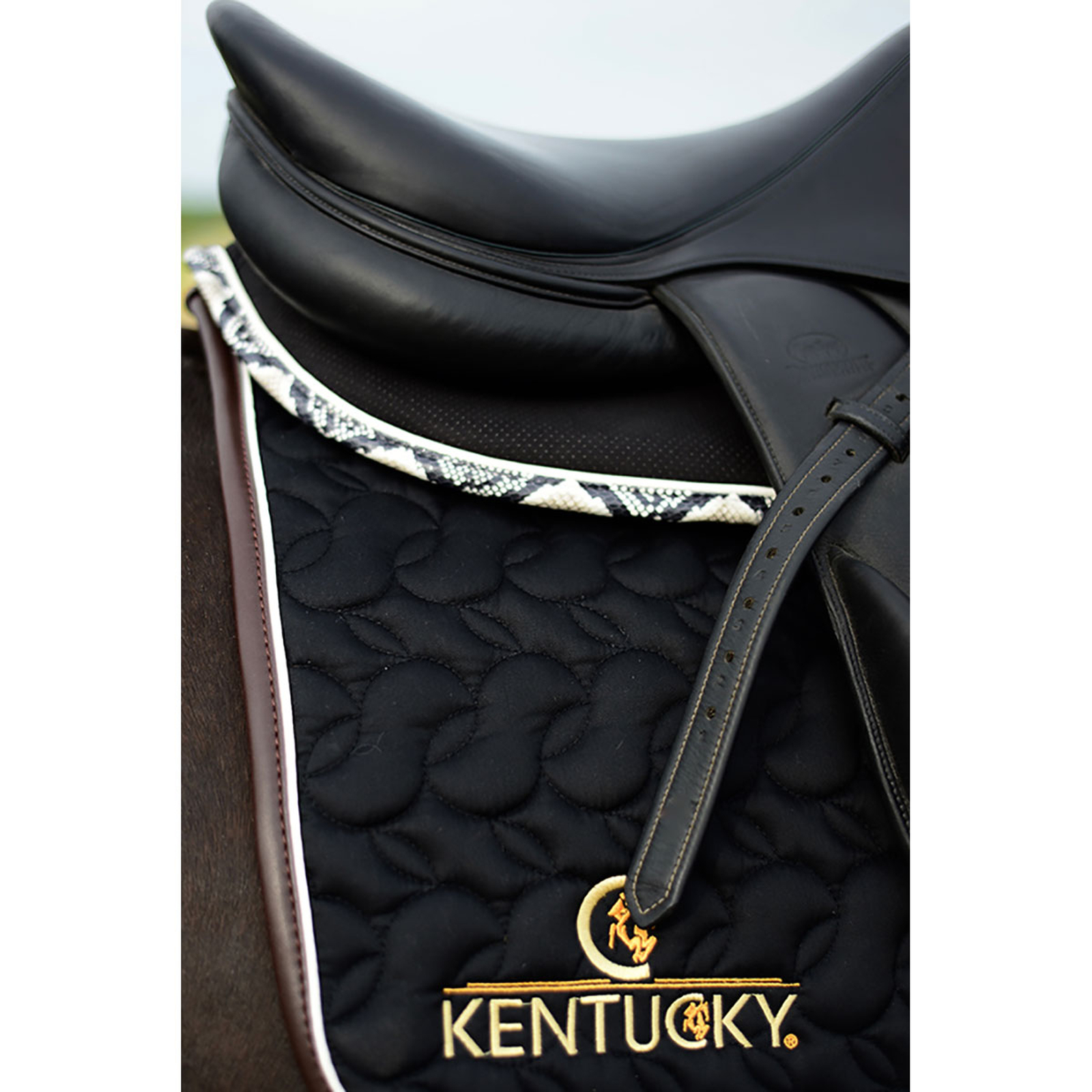 Kentucky Horsewear schabrak Absorb