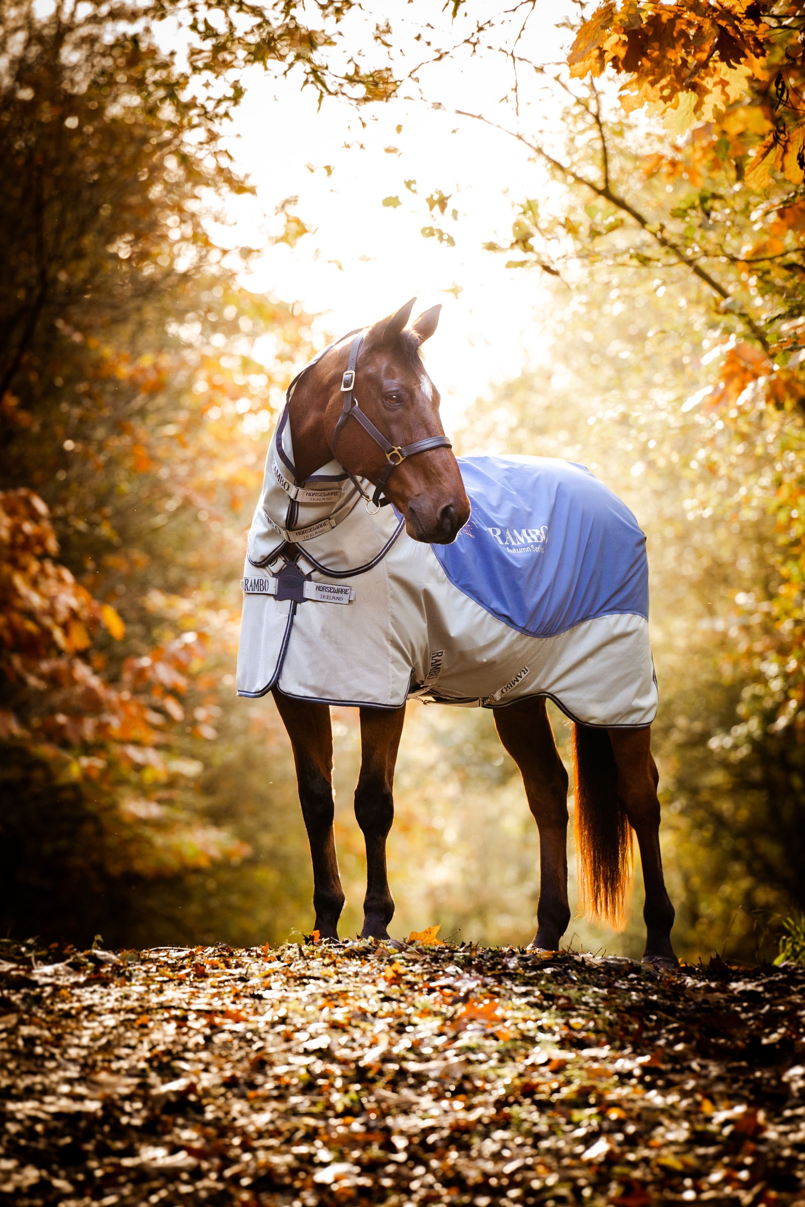 Horseware Rambo Autumn Series utetäcke med undertäcke (0 g / 100 g)