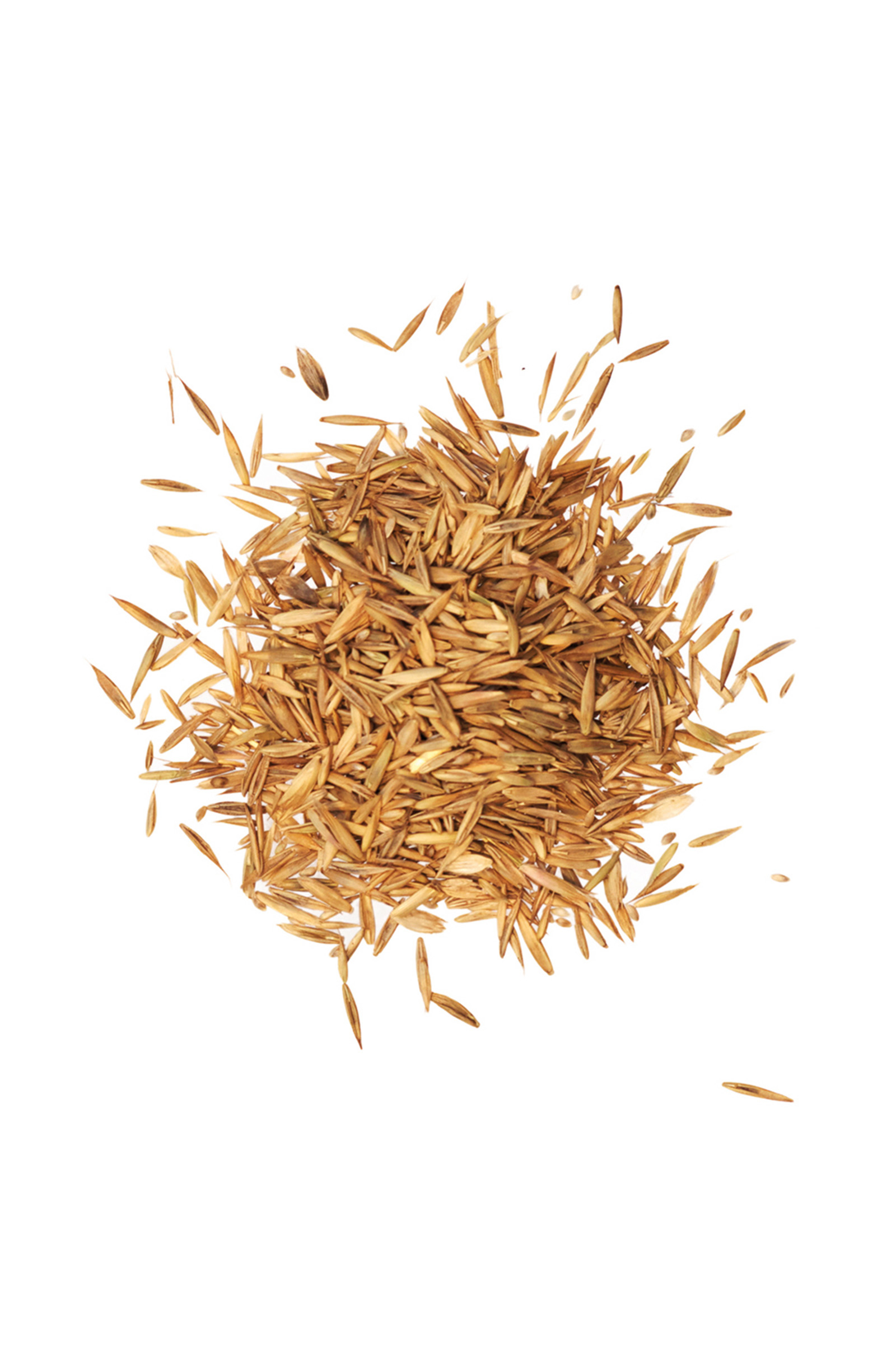 Agrobs Pre Alpin Fr&ouml;n 10kg