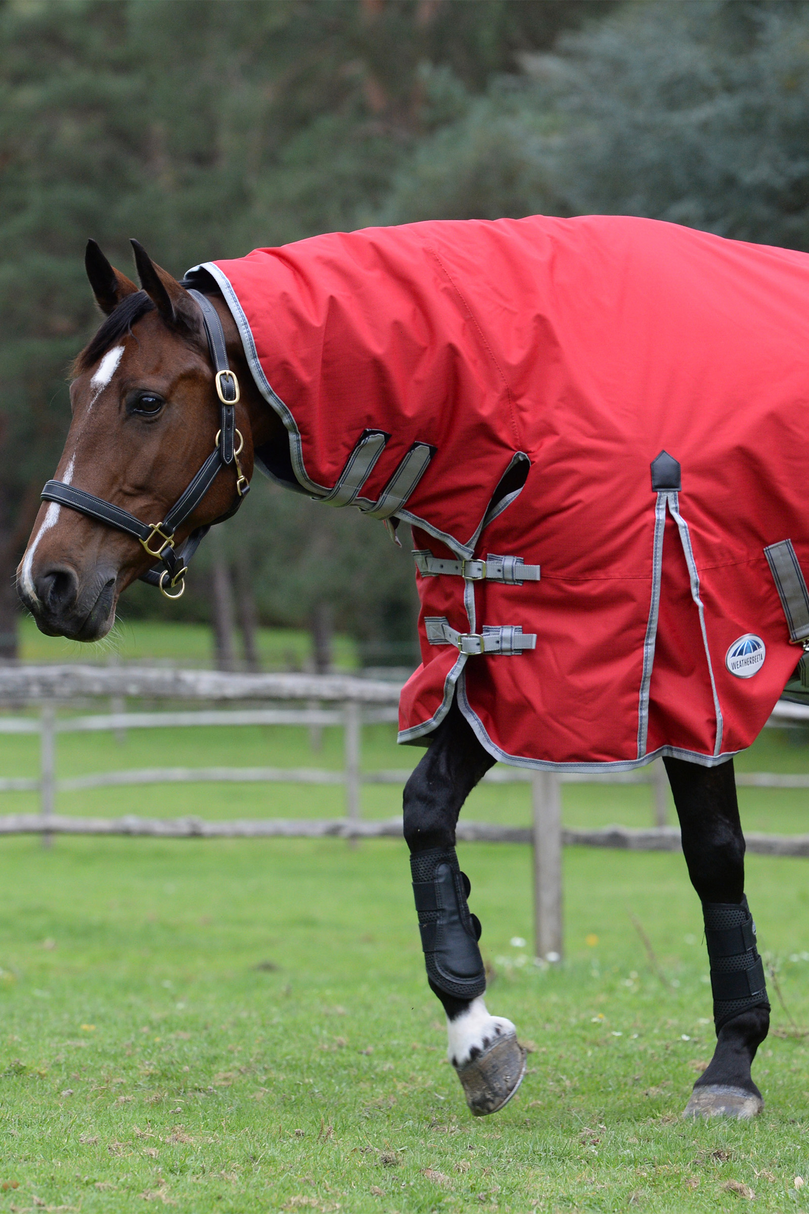 Weatherbeeta Comfitec Classic Hästtäcken med integrerat hals, 50g