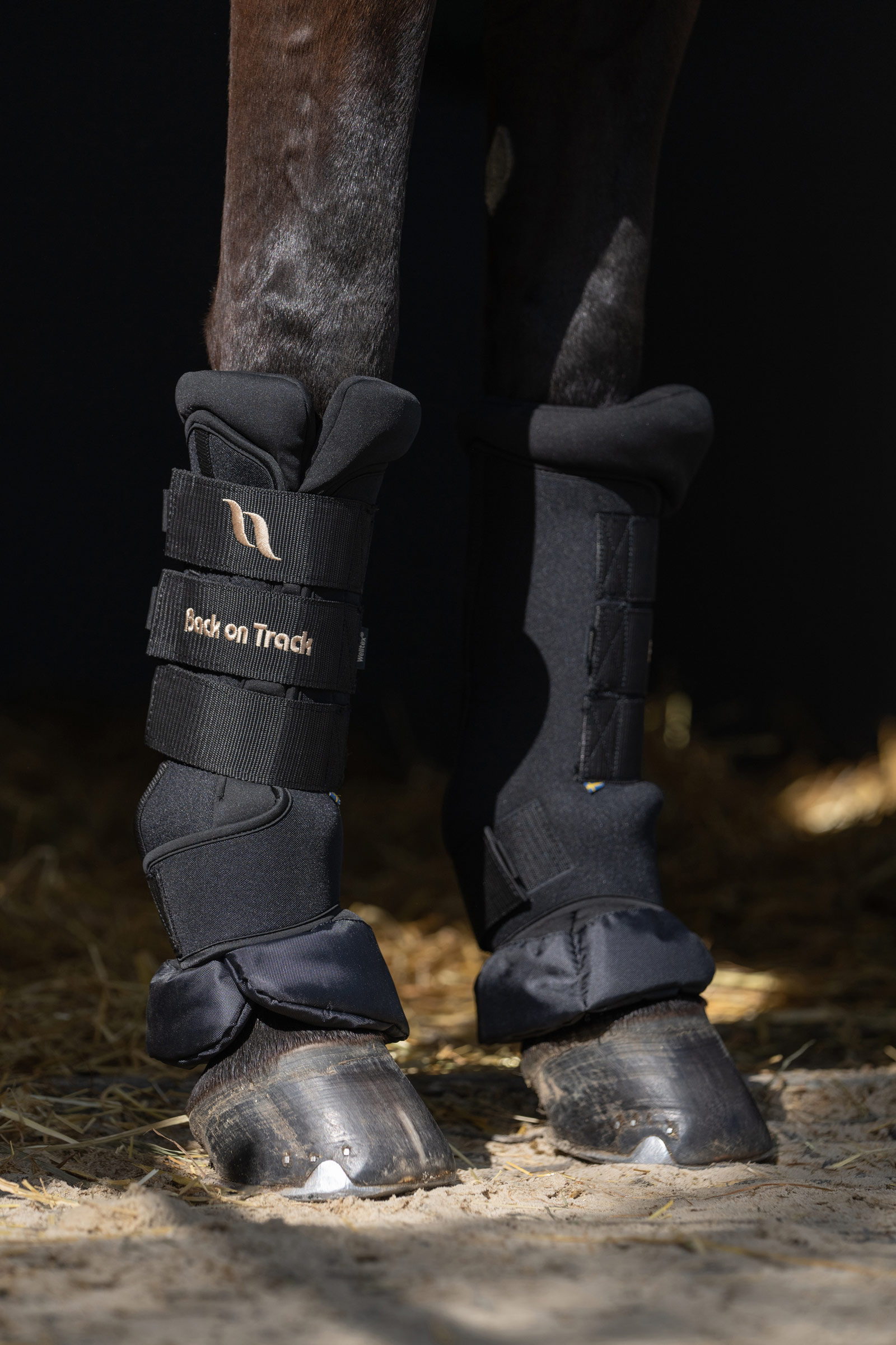 Back On Track Quick Royal snabbandage