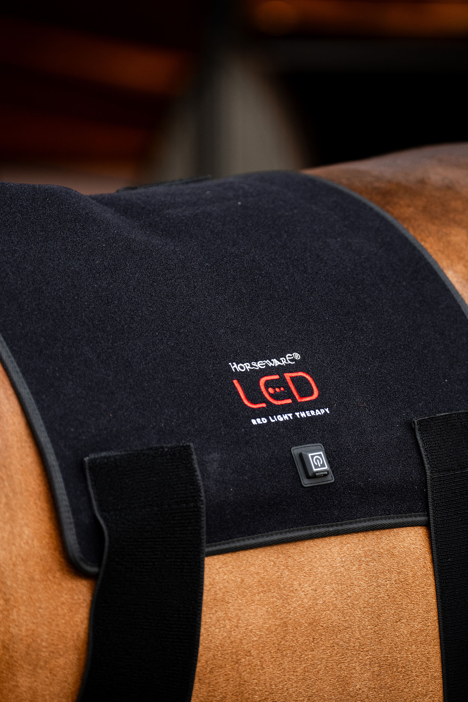 Horseware LED-rött ljusterapi Pad