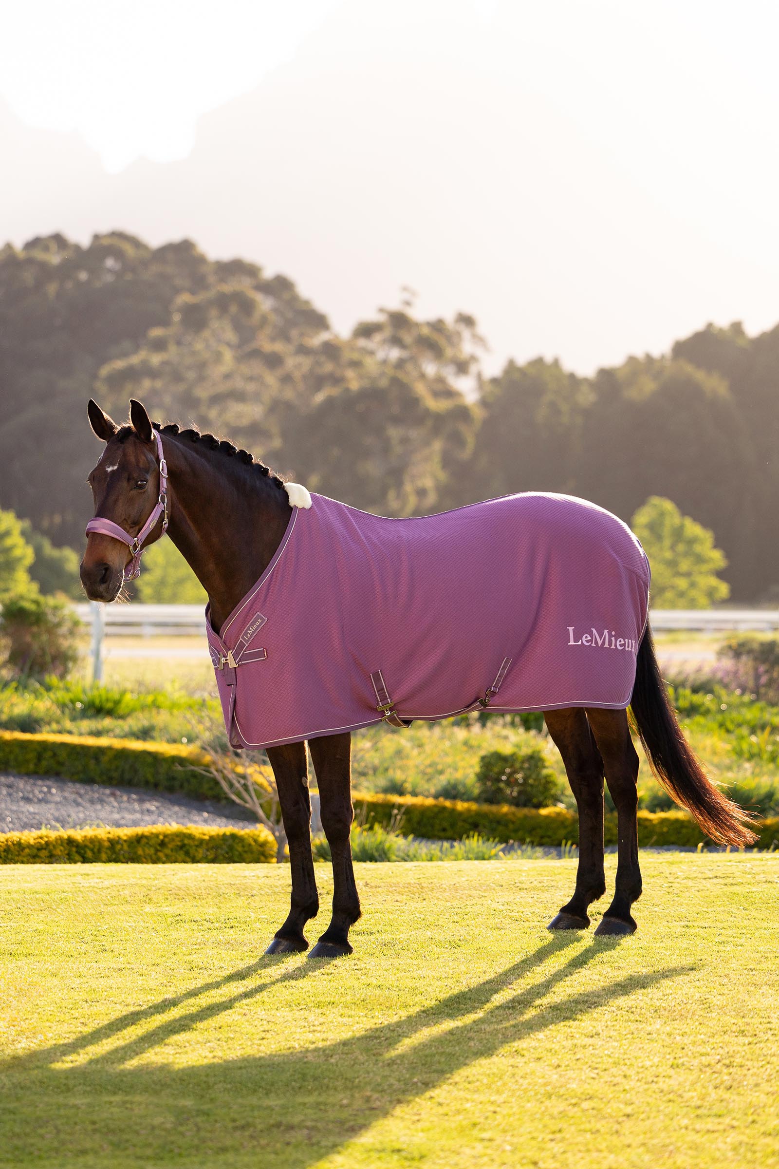 Mallow LeMieux Kudos bambu svett&auml;cke