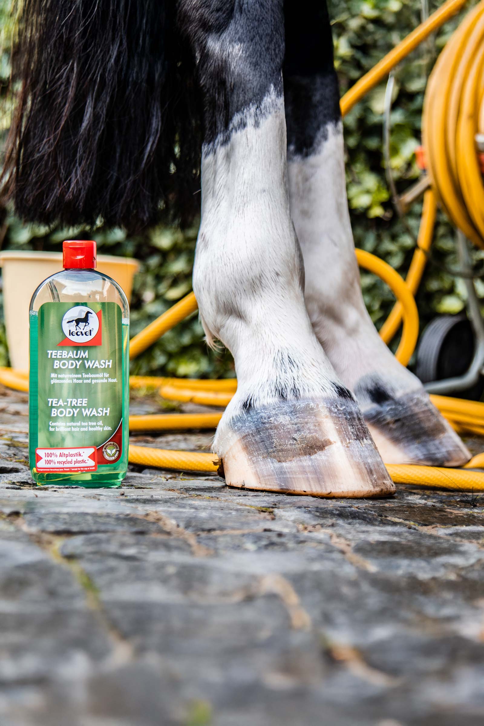 Leovet Tea-Tree Body Wash