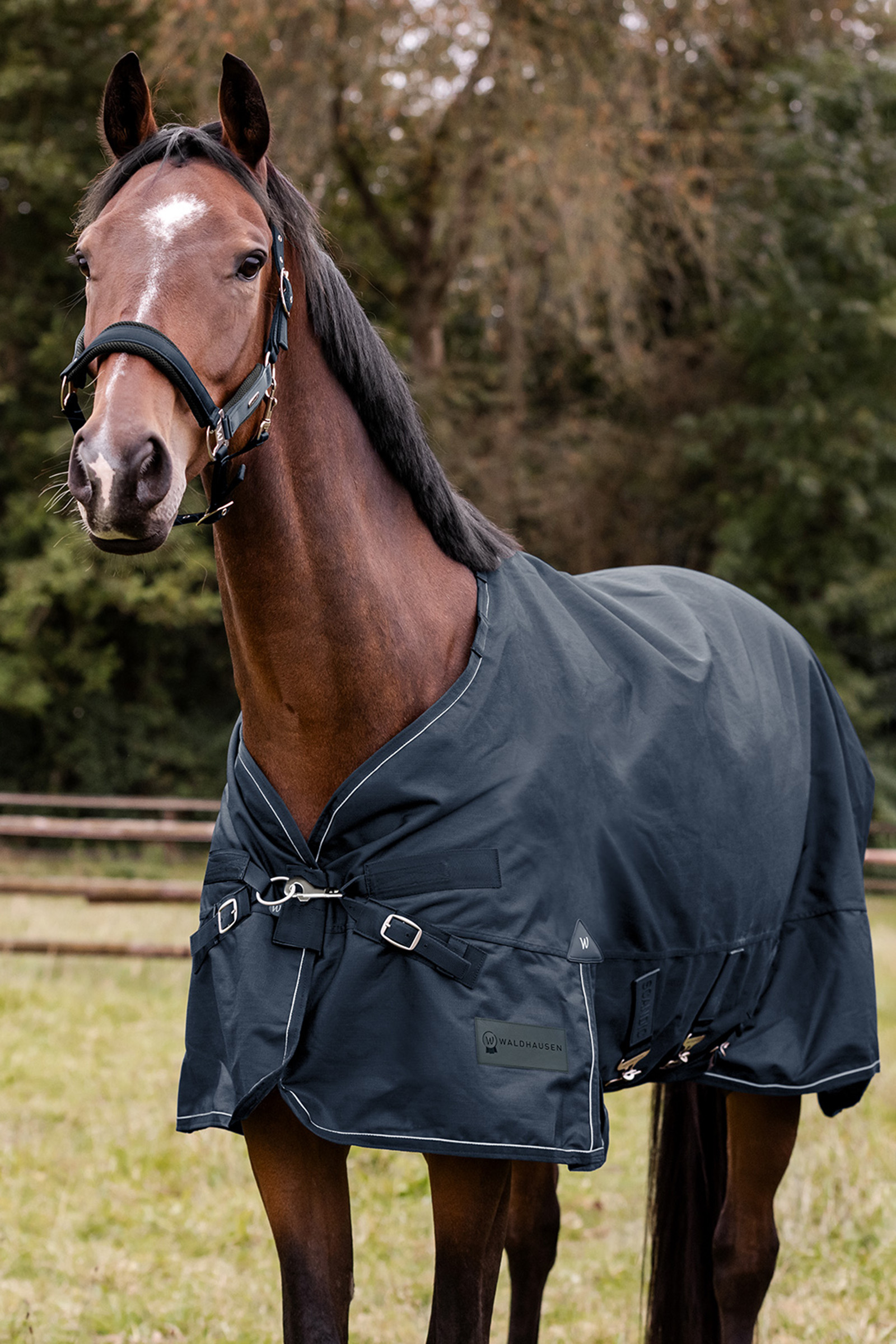 Waldhausen Utomhust&auml;cke Scandic 300 g