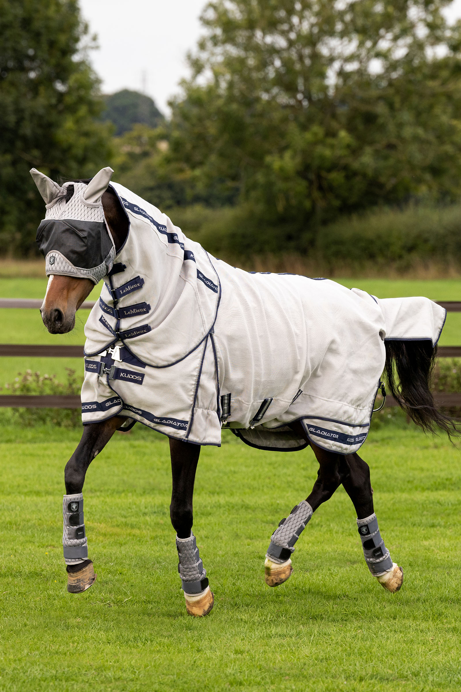 LeMieux Kudos Gladiator flugtäcke