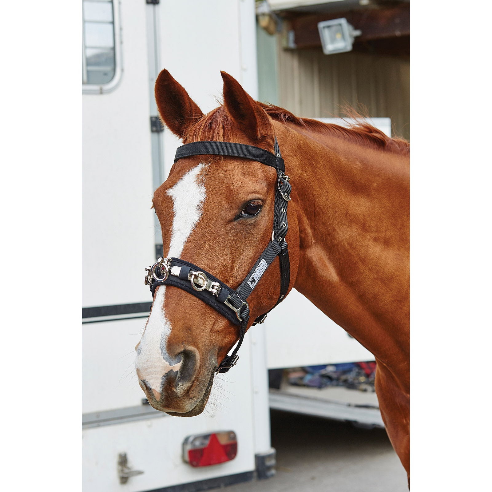 Kincade Coordinate longeringskapson