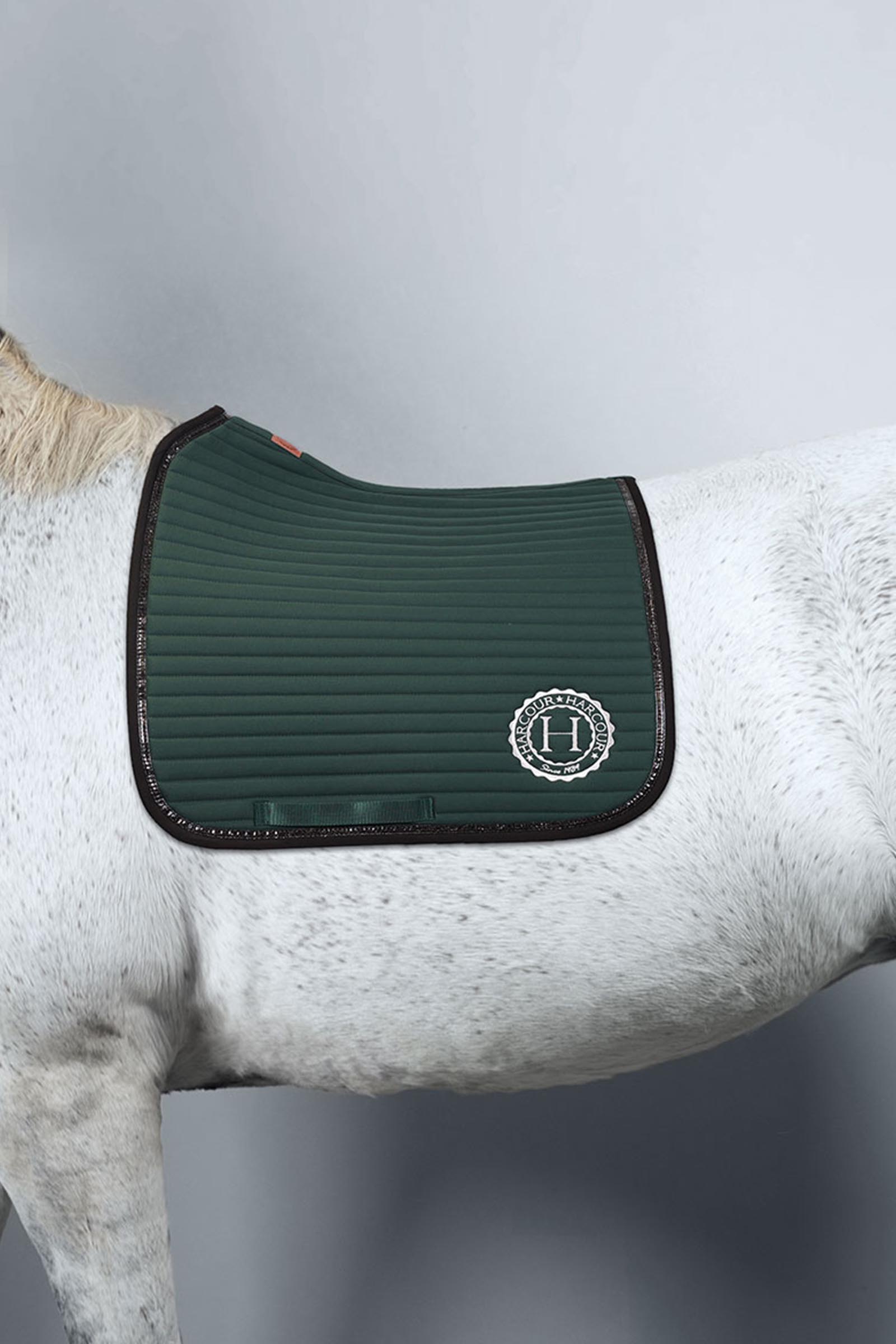 Harcour Karembar schabrak Rider Pony