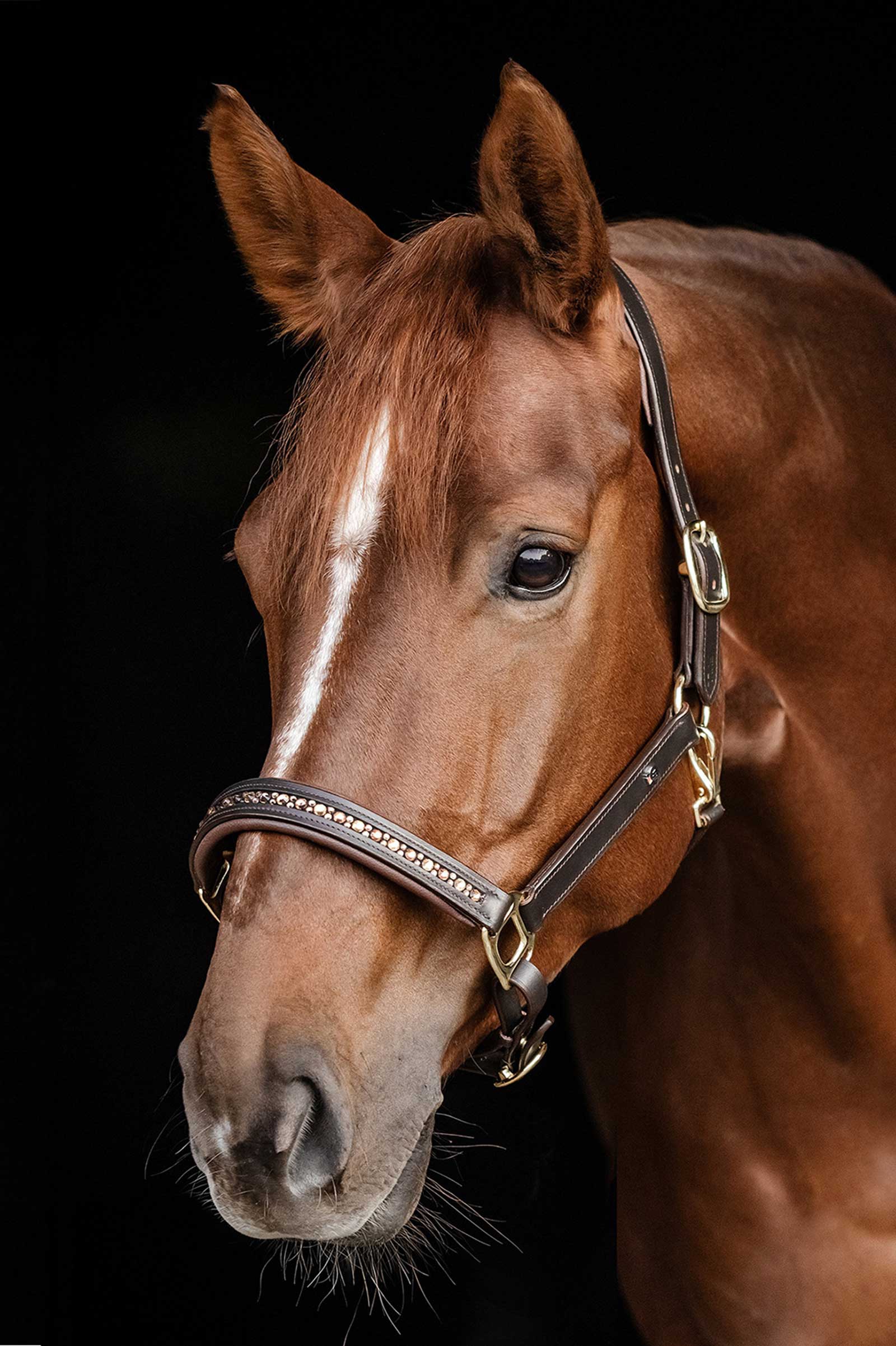 Waldhausen X-Line Crystal Lädergrimma