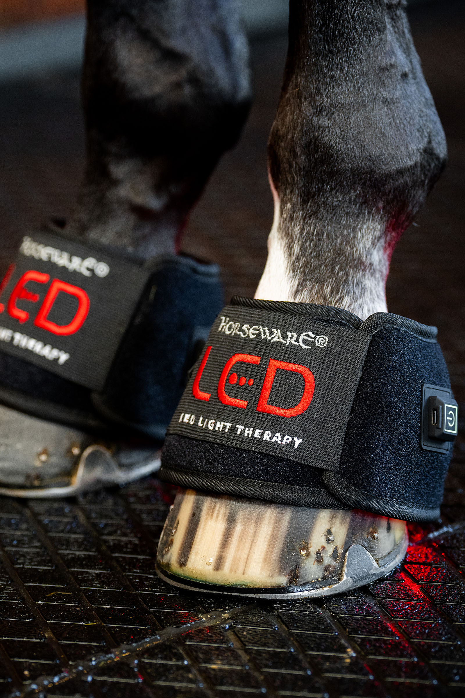Horseware LED-r&ouml;tt ljusterapi mini benskydd (1 st.)