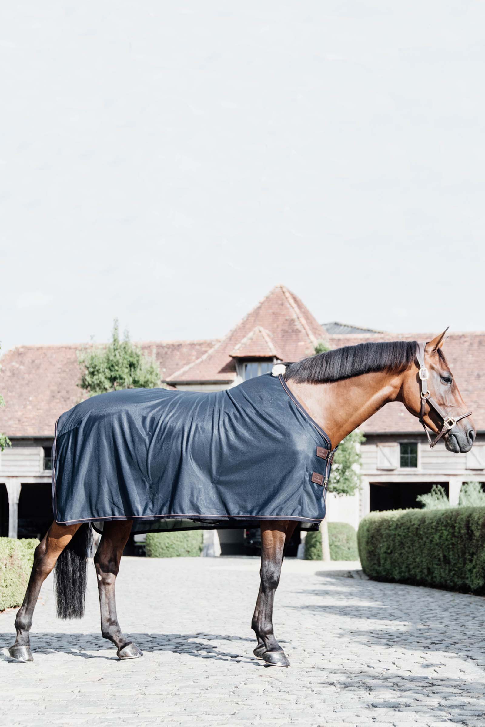 Kentucky Horsewear flugtäcke i mesh