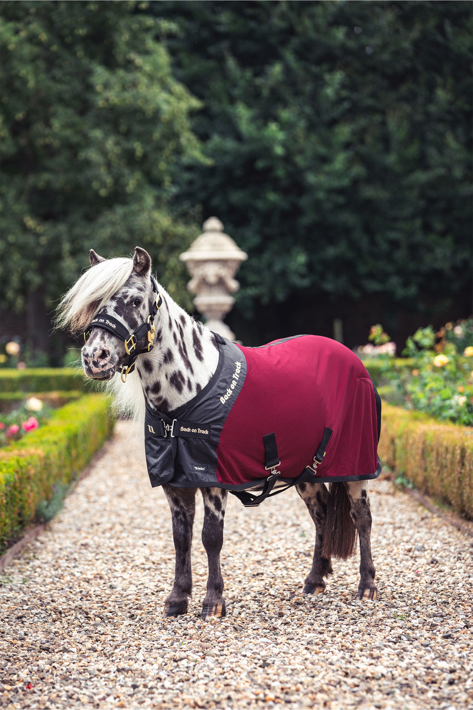 Back on Track Royal Ponny Nättäcke Deluxe
