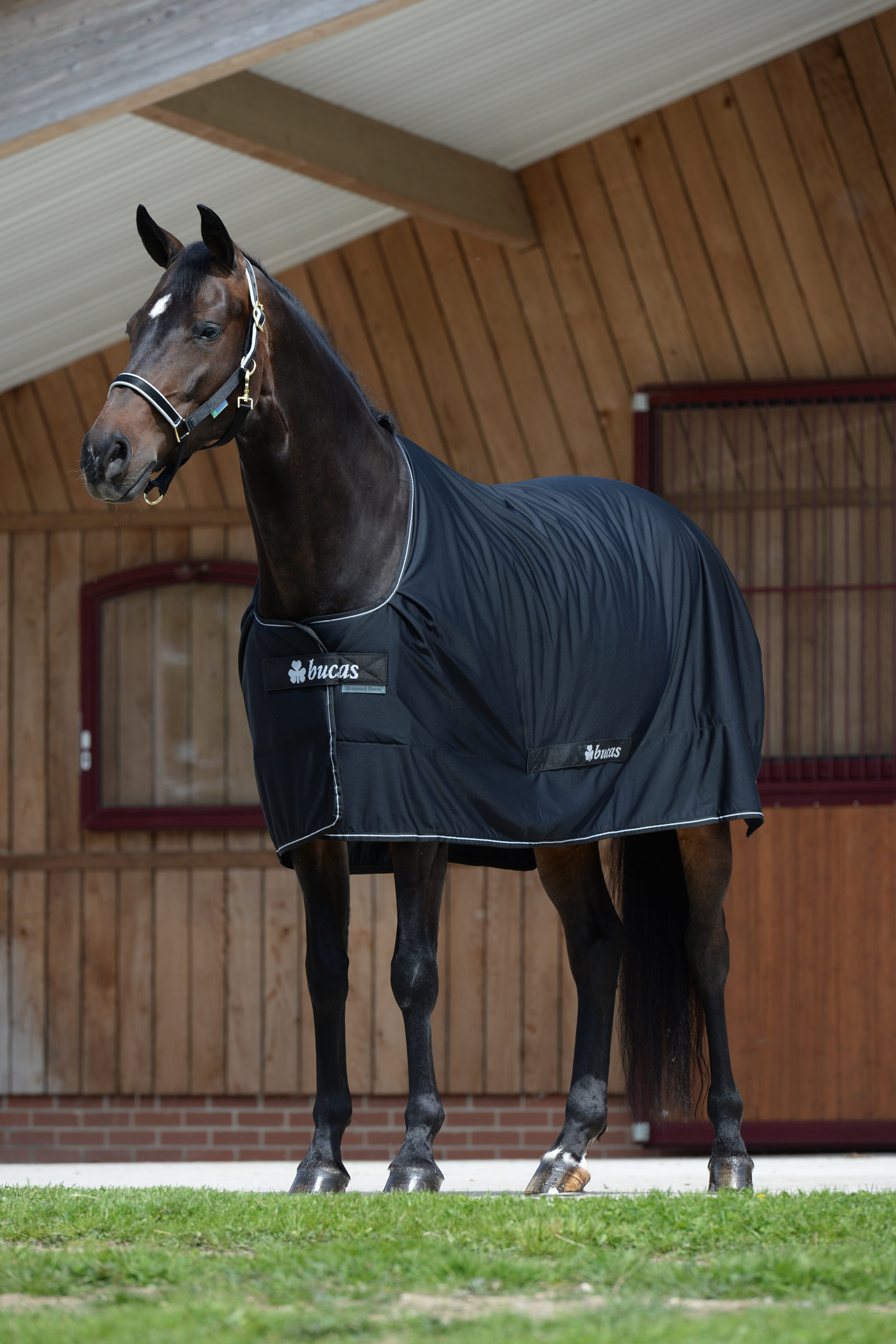 Bucas Shamrock Power täcke