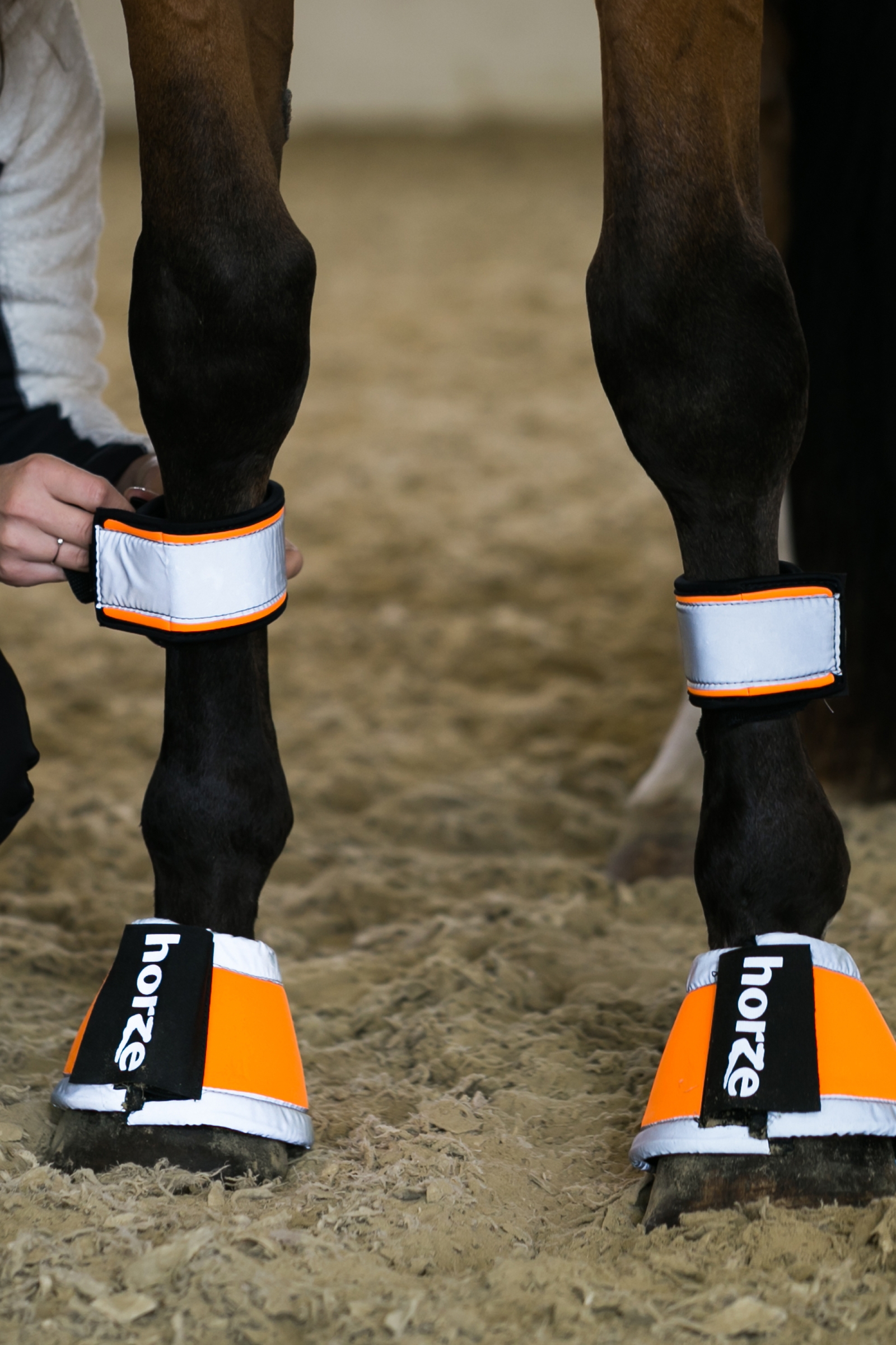 Horze bZeen benreflexer