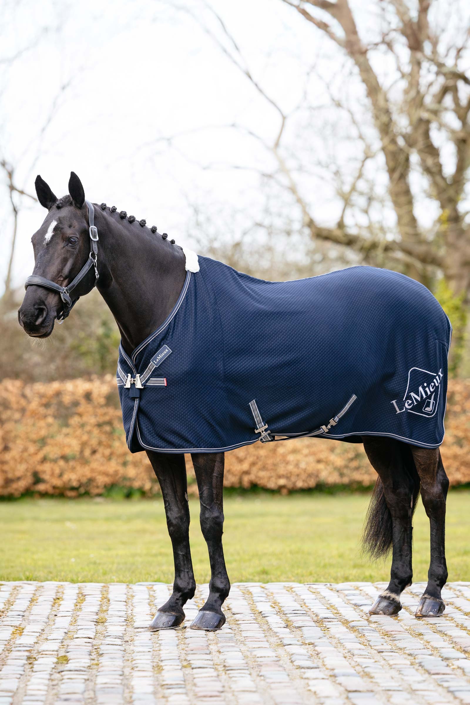 LeMieux Kudos bambu svett&auml;cke