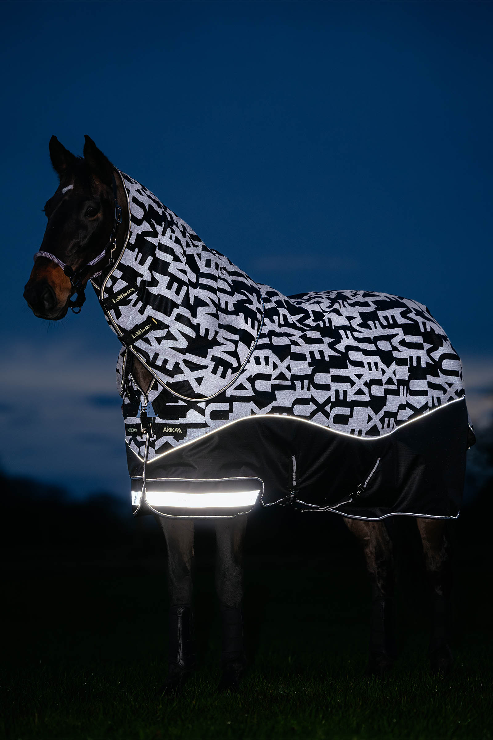LeMieux Arika Reflective Turnout Rug With Detachable Neck, 200 g
