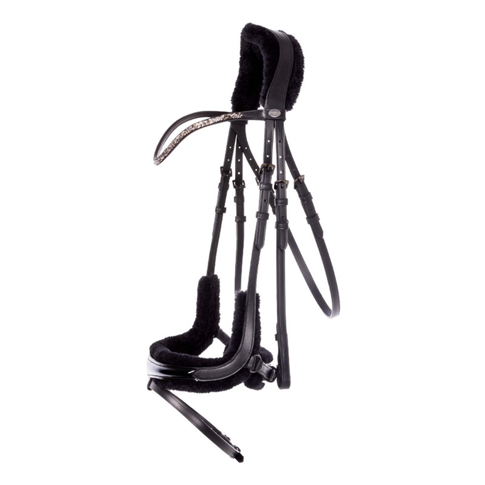 Kavalkade Ivella KavalSH4 tr&auml;ns