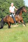 F.R.A. Freedom Riding Articles Free Barbackapad, full