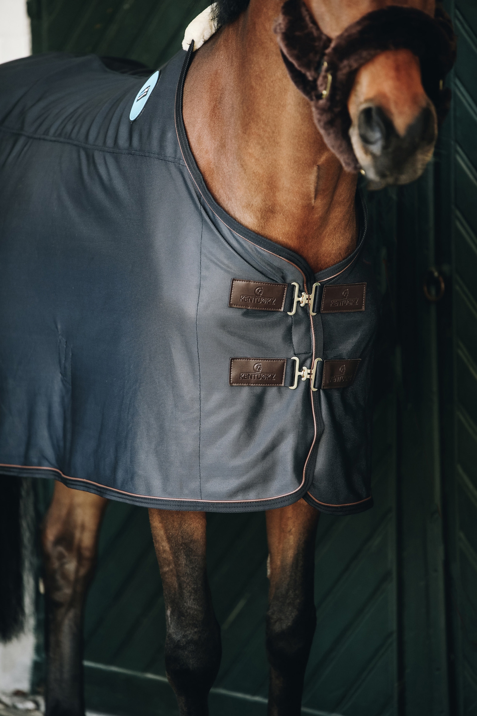 Kentucky Horsewear Recuptex magnett&auml;cke