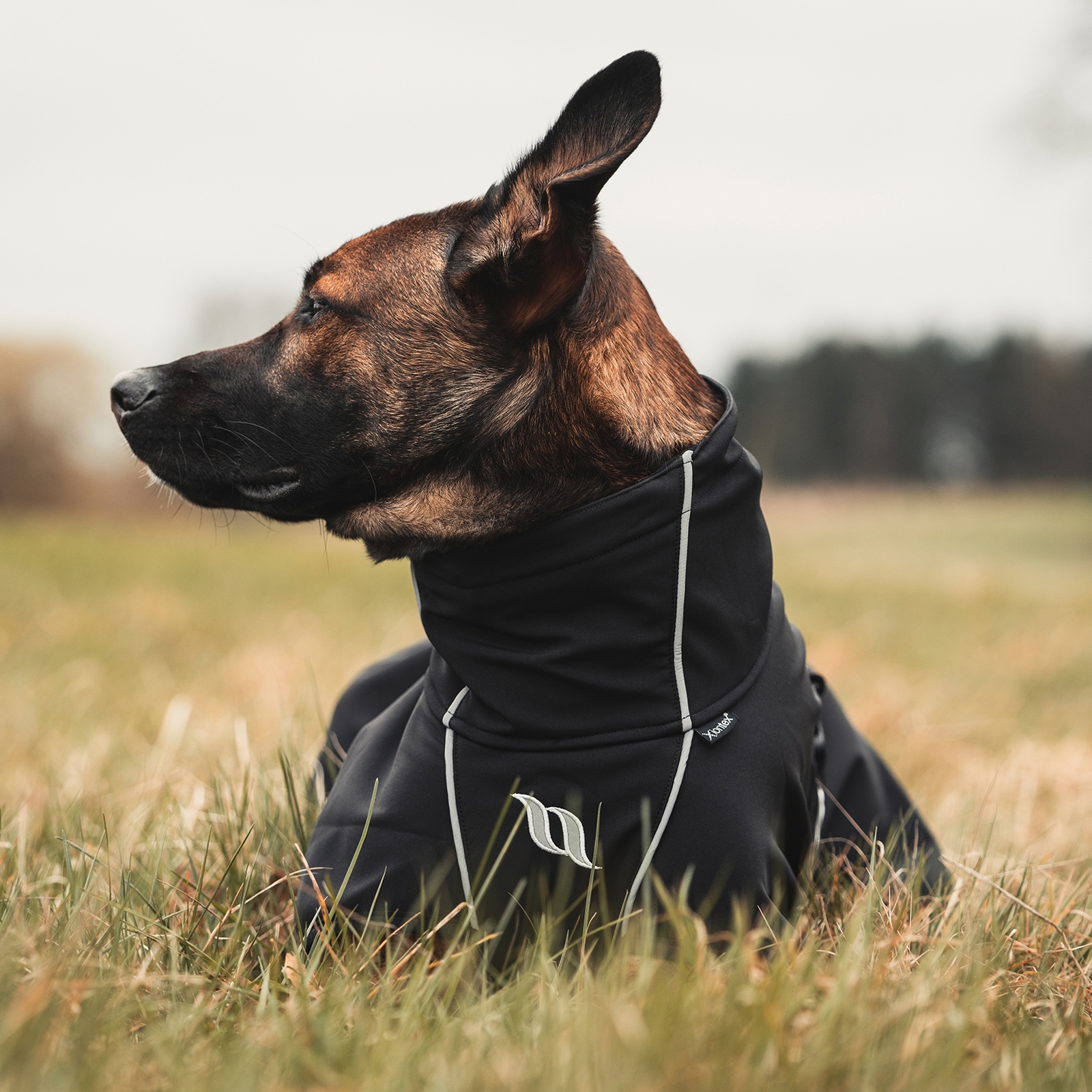 Back on Track Nella Allround hundtäcke, 40-50cm