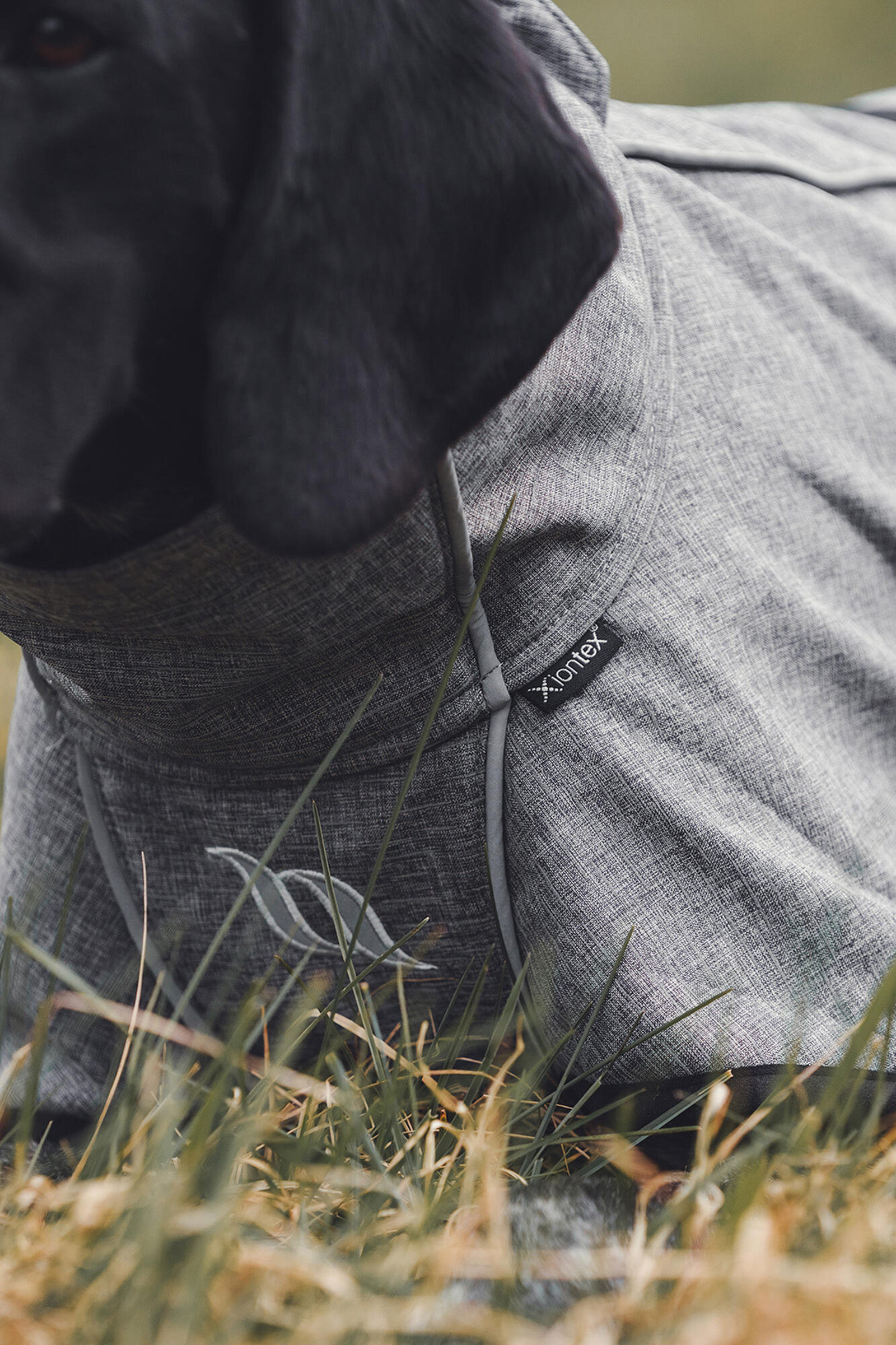 Back on Track Bark Allround Hundtäcke, 70-80cm