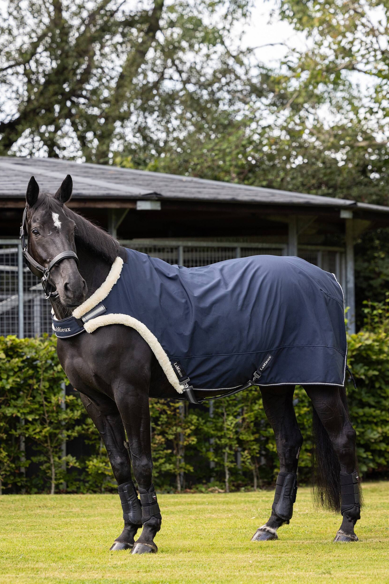 LeMieux Ledt&auml;cke