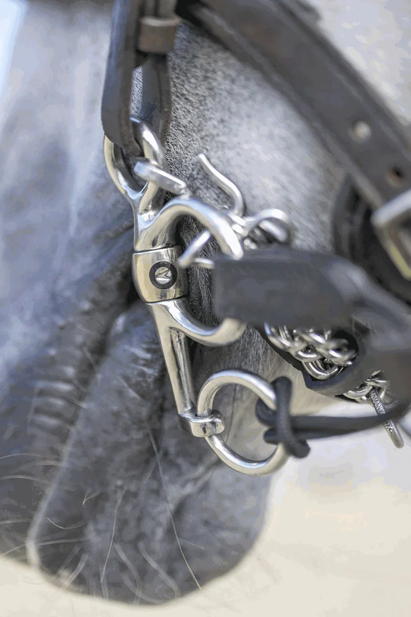 Sprenger Dynamic RS Pelham, Sensogan, dubbelbrytna, 16 mm