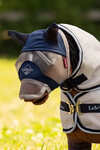 LeMieux Toy Pony Fly Mask