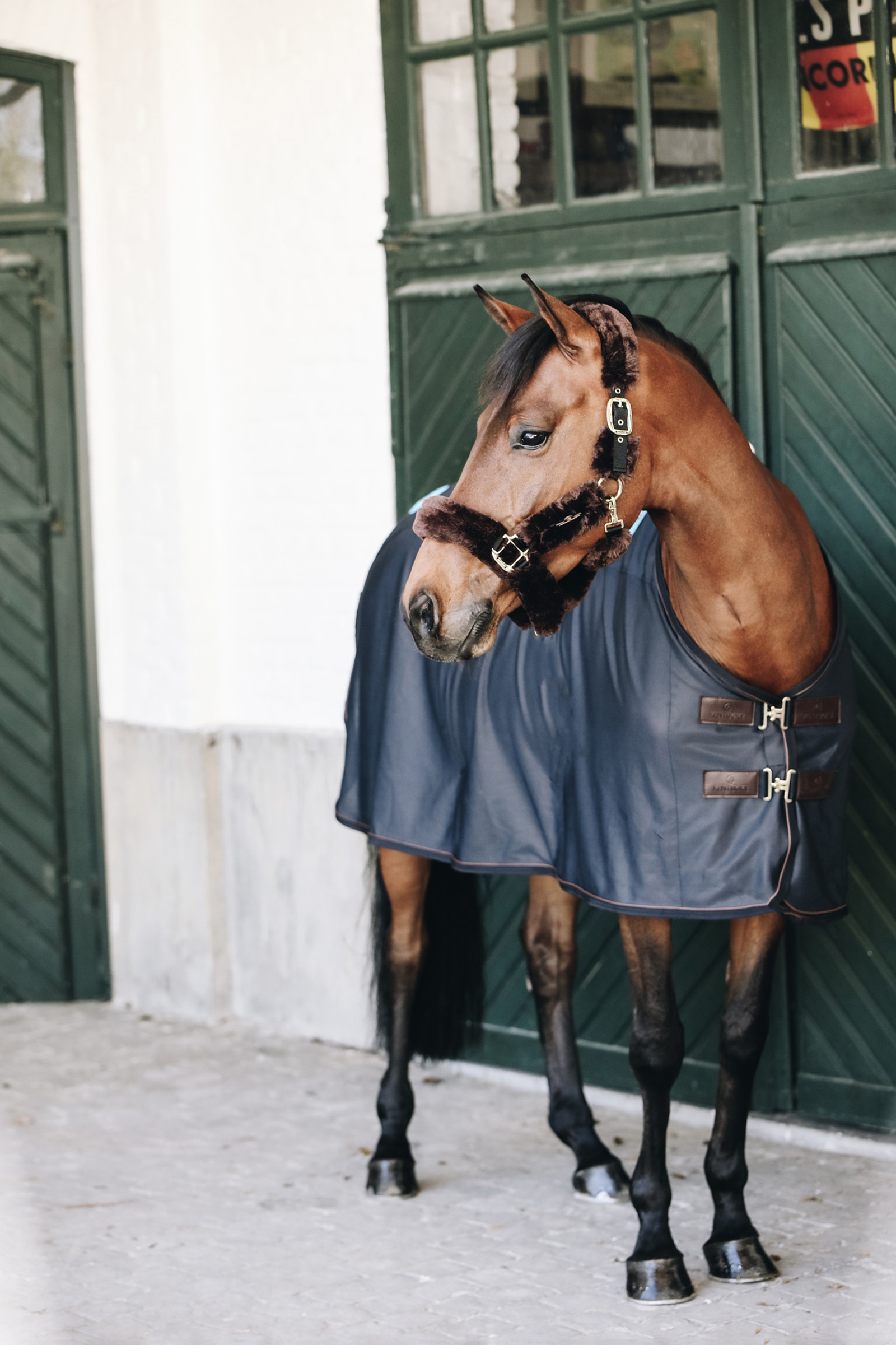 Kentucky Horsewear Recuptex magnett&auml;cke