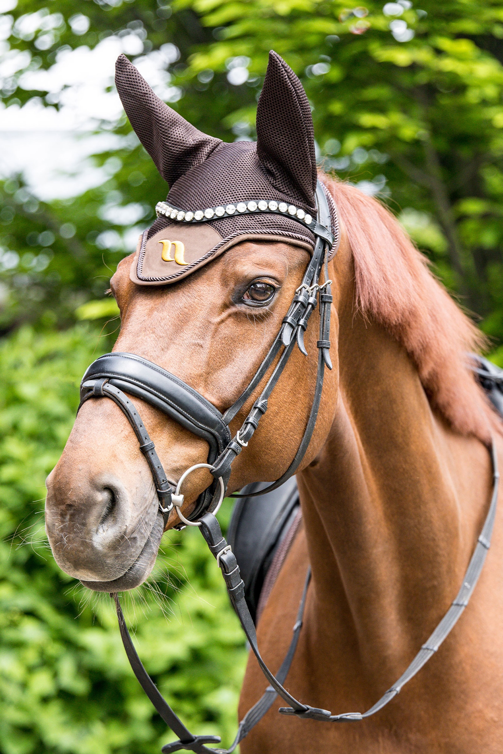 Back on Track Airflow flughuva