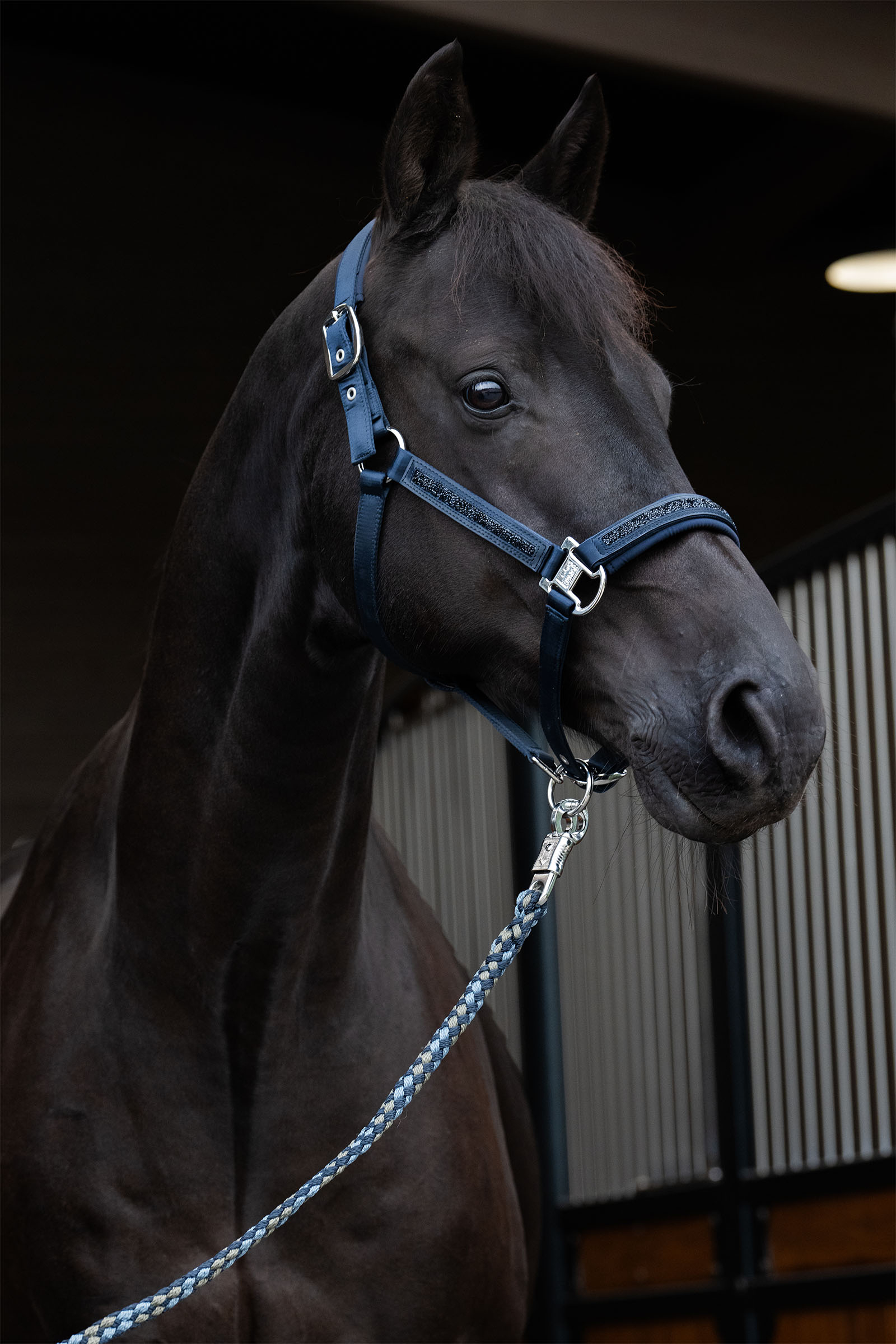 Eskadron Classic Sports SS25 Mattgloss Jewel Double Pin grimma