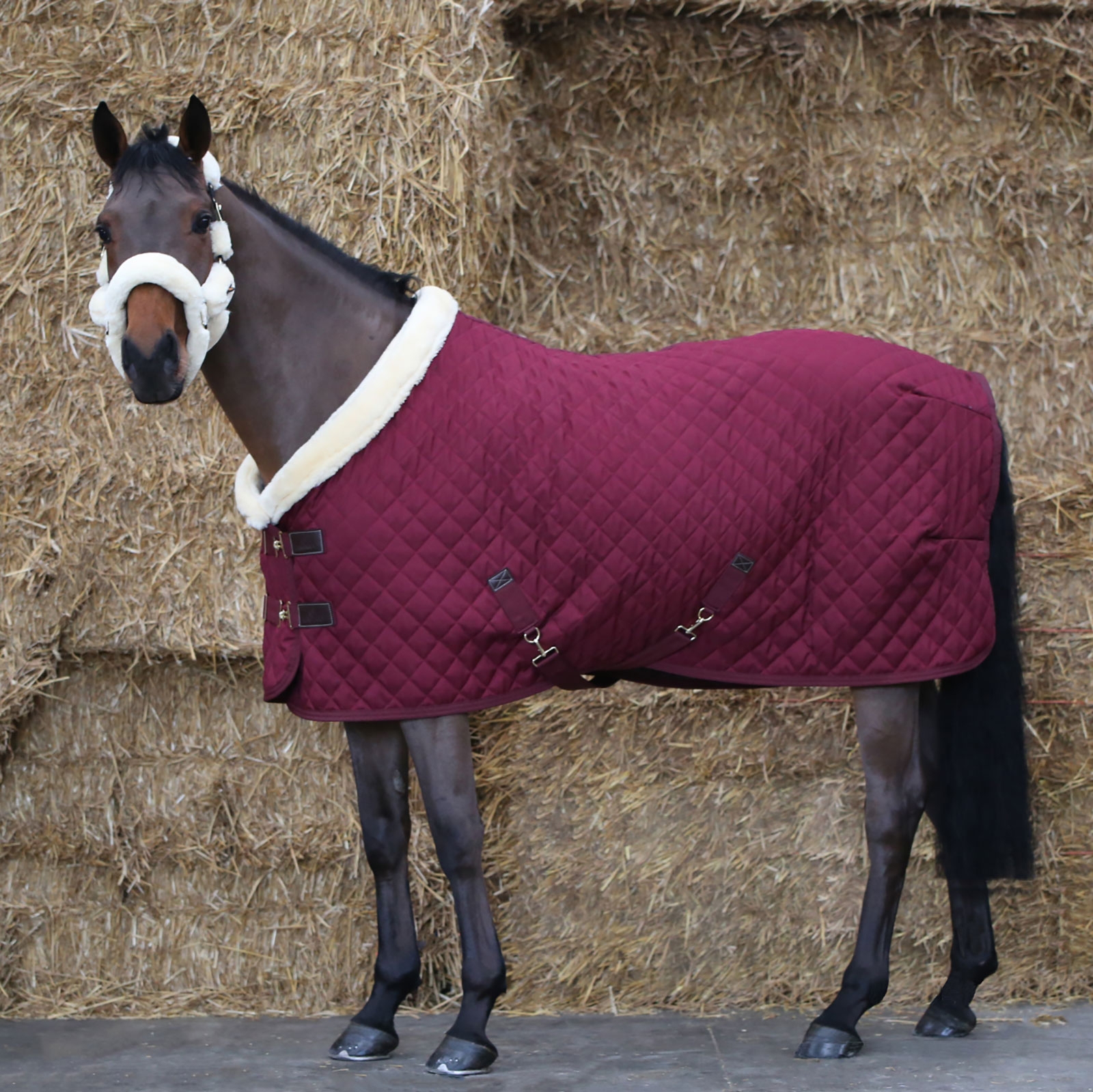 Dark Red Kentucky Horsewear t&auml;vlingst&auml;cke, 160 g
