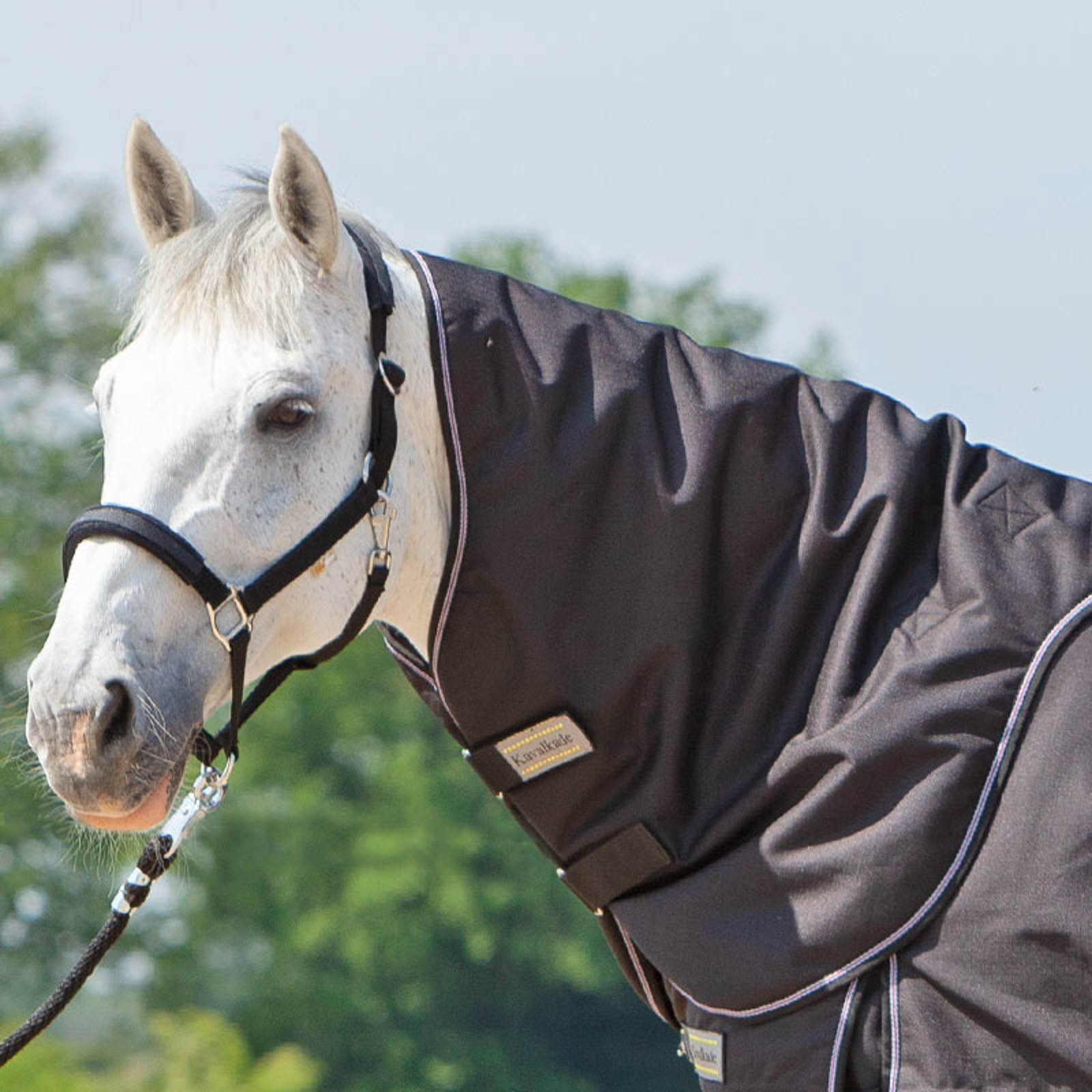 Kavalkade Neck f&ouml;r Alaska IV Halst&auml;cke, 100 g