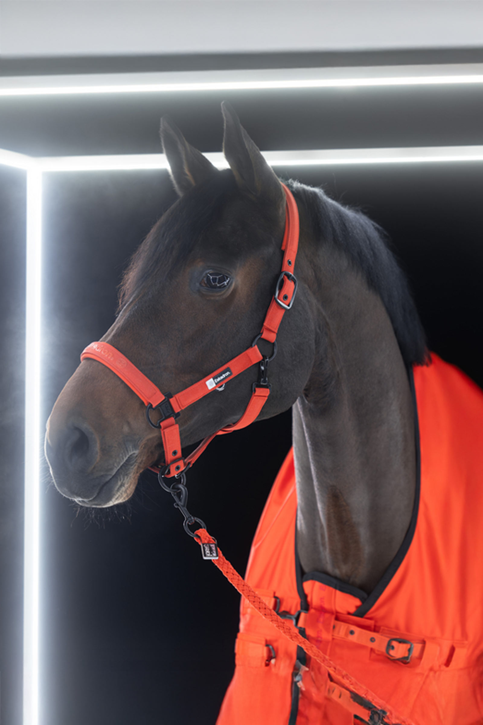 Eskadron Dynamics AW25 Beta utet&auml;cke, 50 g