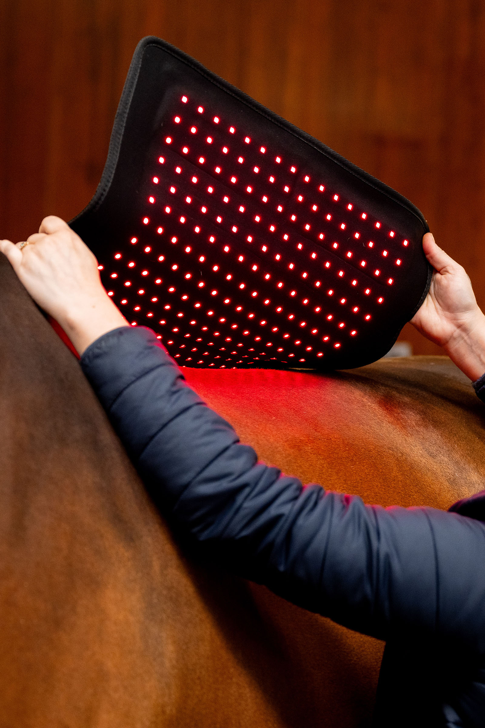 Horseware LED-r&ouml;tt ljusterapi Pad
