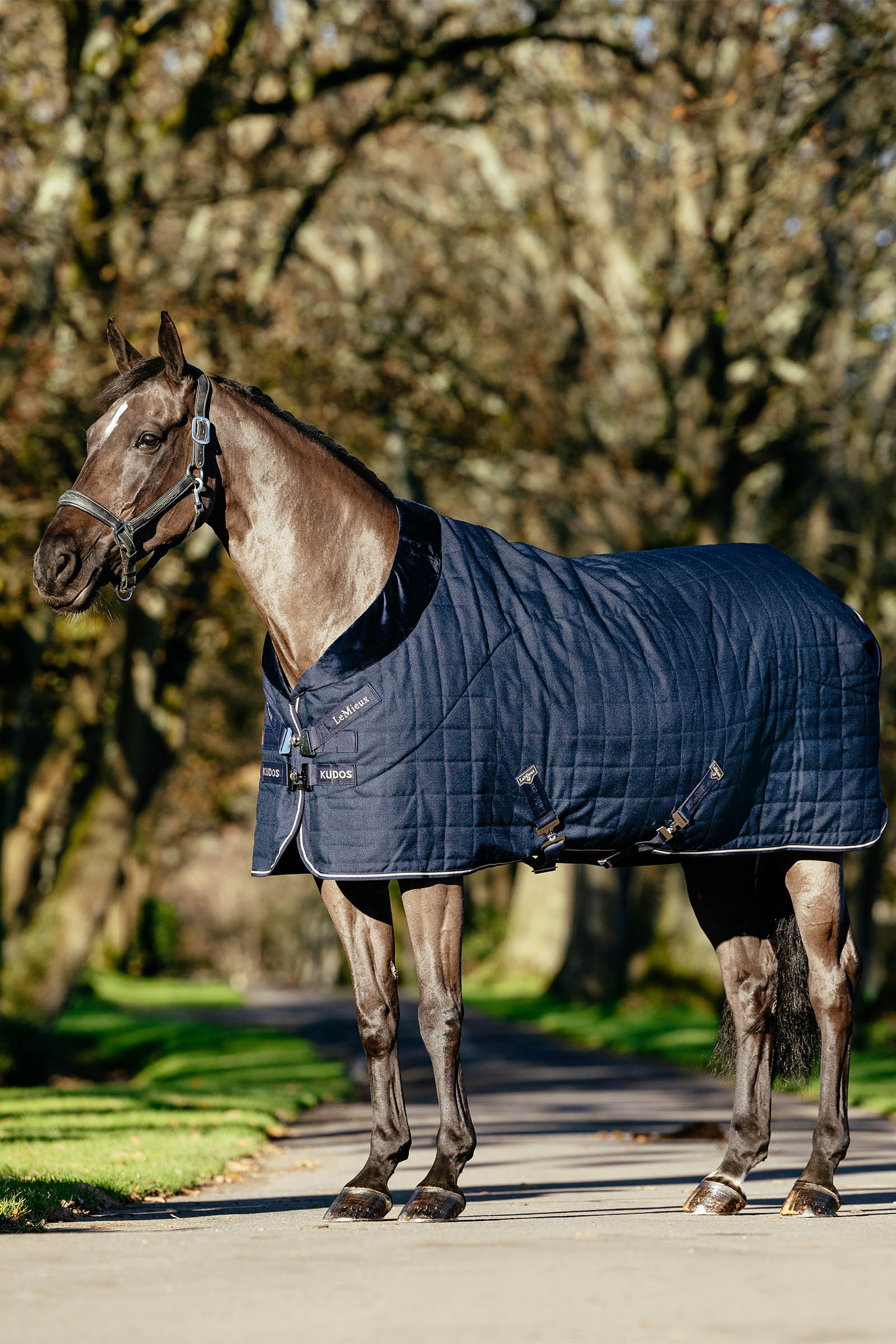 LeMieux Kudos Luxe fodrat stalltäcke, 100 g