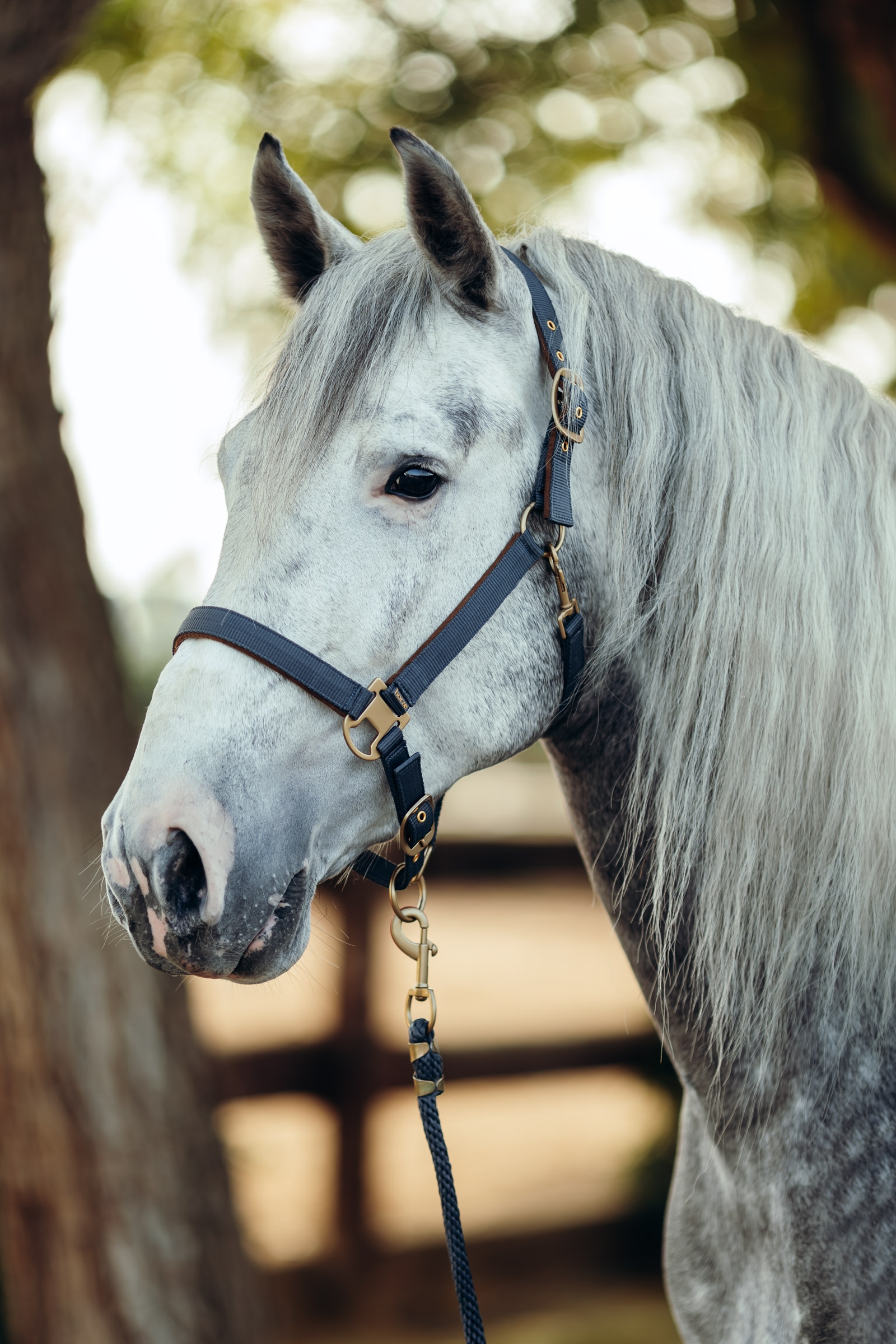 Horze Houston Grimma