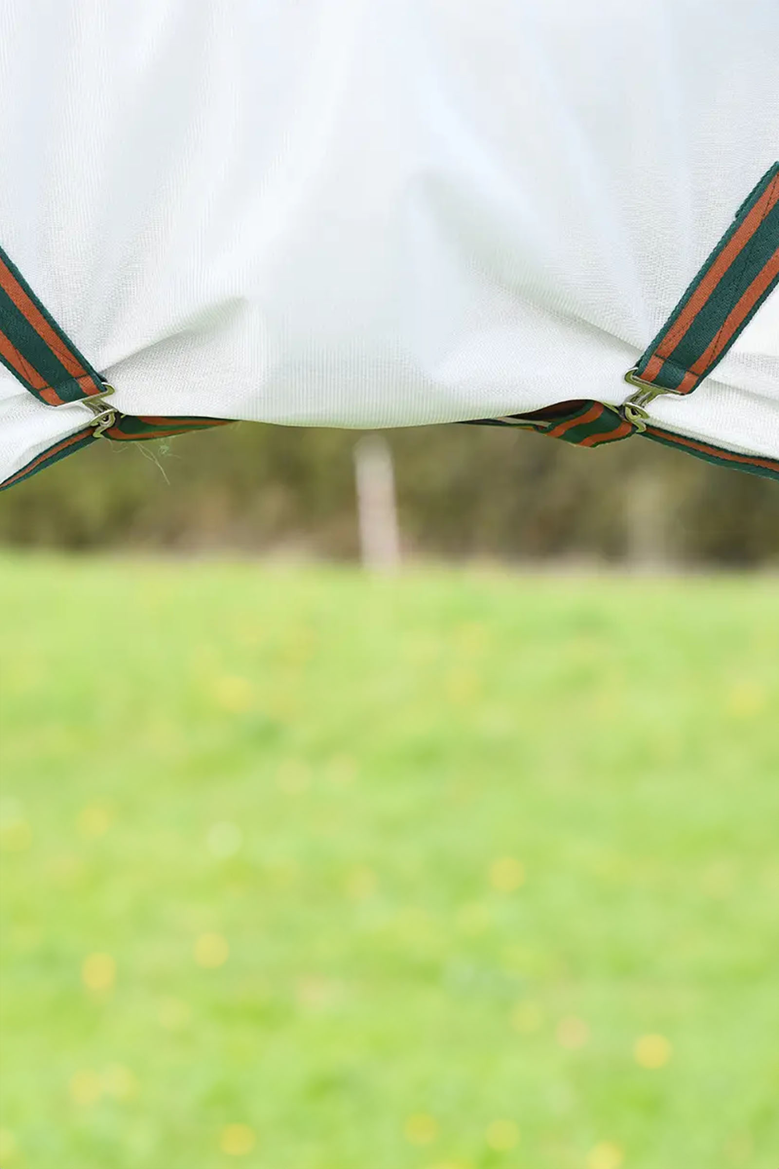 Weatherbeeta Comfitec Tyro nätäckescombo med hals