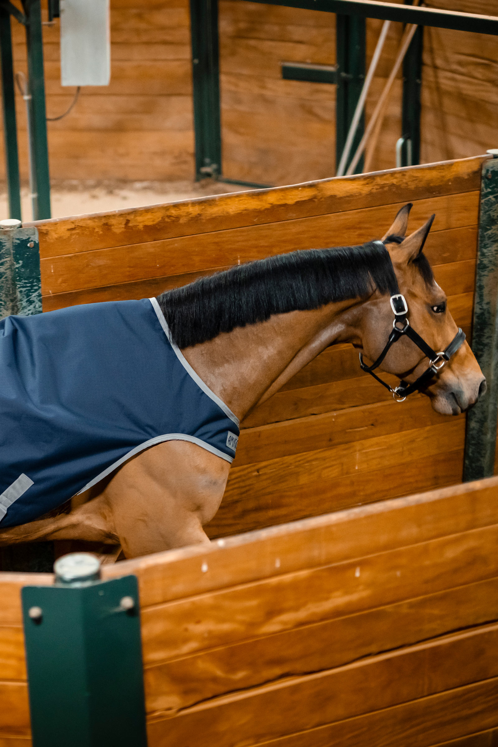 Horseware Amigo Ripstop 900D Walker-t&auml;cke, 100 g