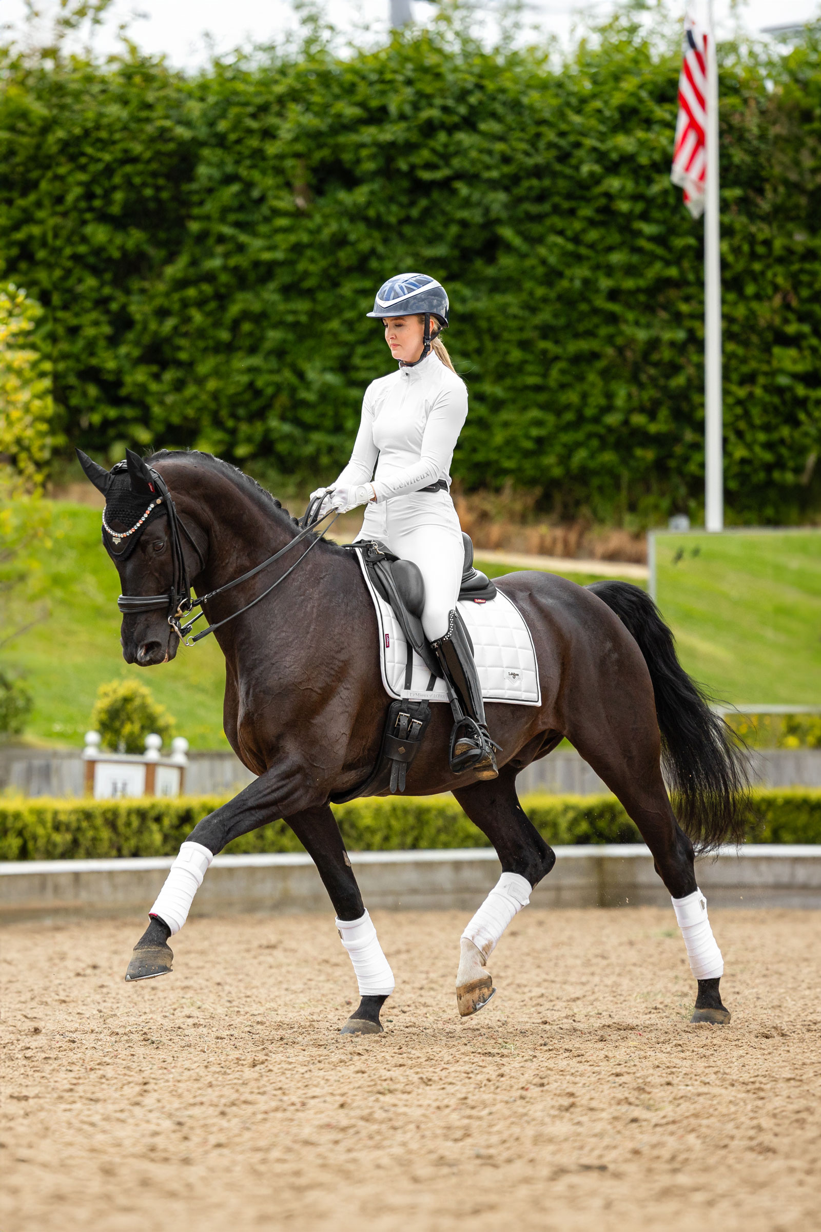 LeMieux Loire klassiskt fyrkantigt dressyr schabrak