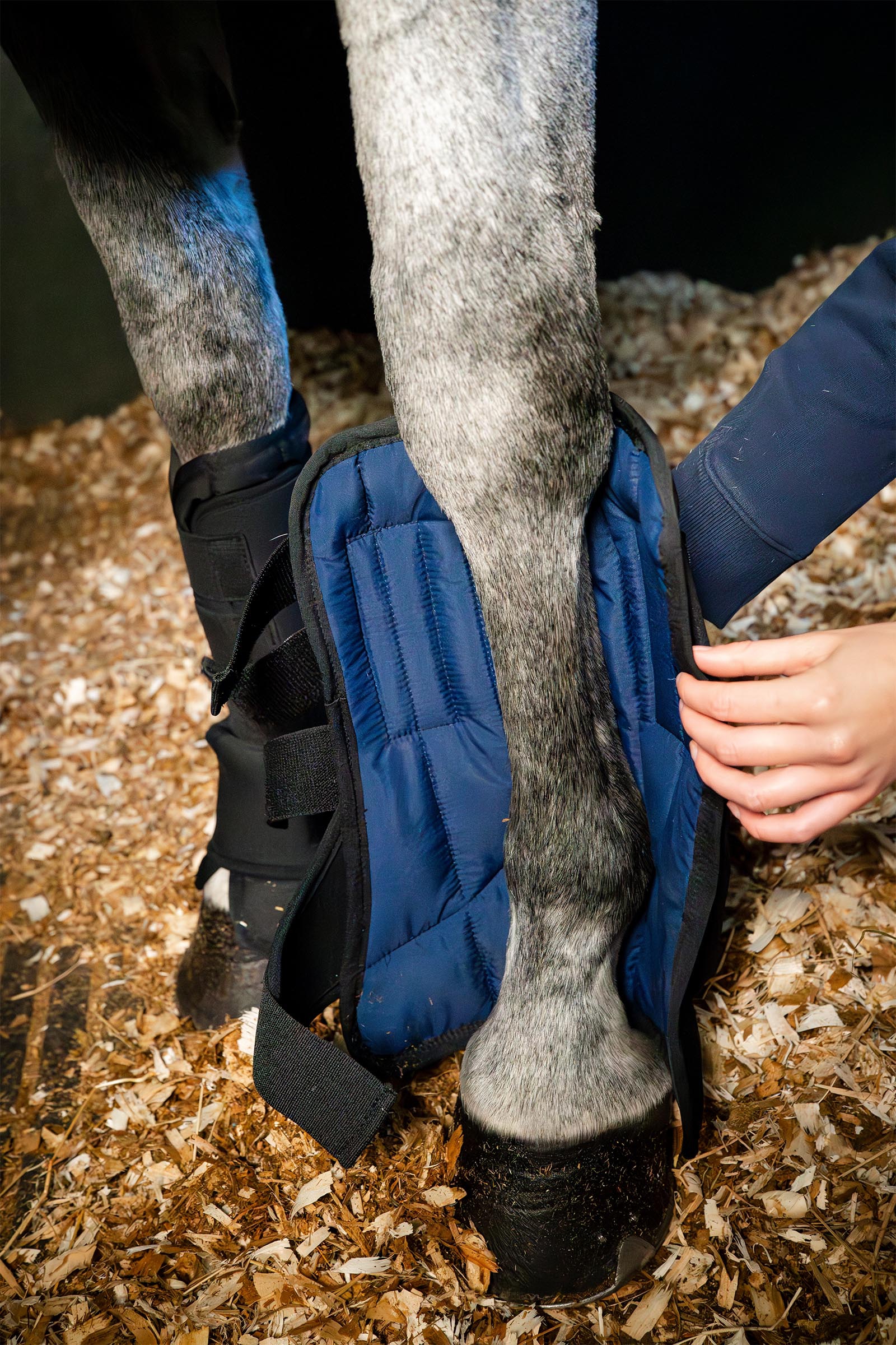Horseware stallboot Ionic liner