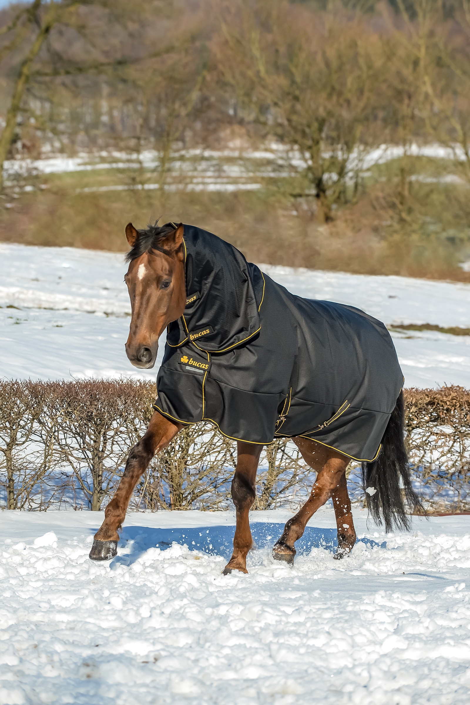 Bucas Irish Turnout Extra utet&auml;cke, ponny