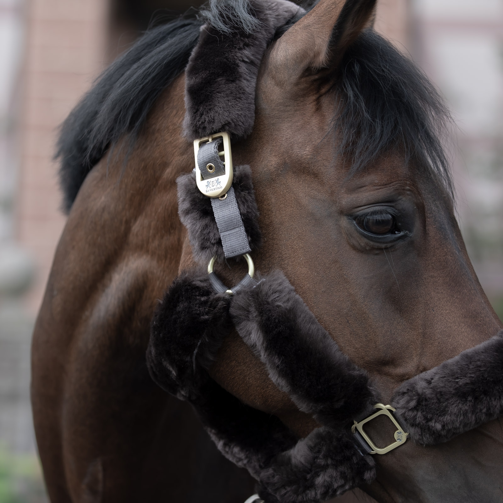 B Vertigo Tremblant grimma med f&aring;rskinn