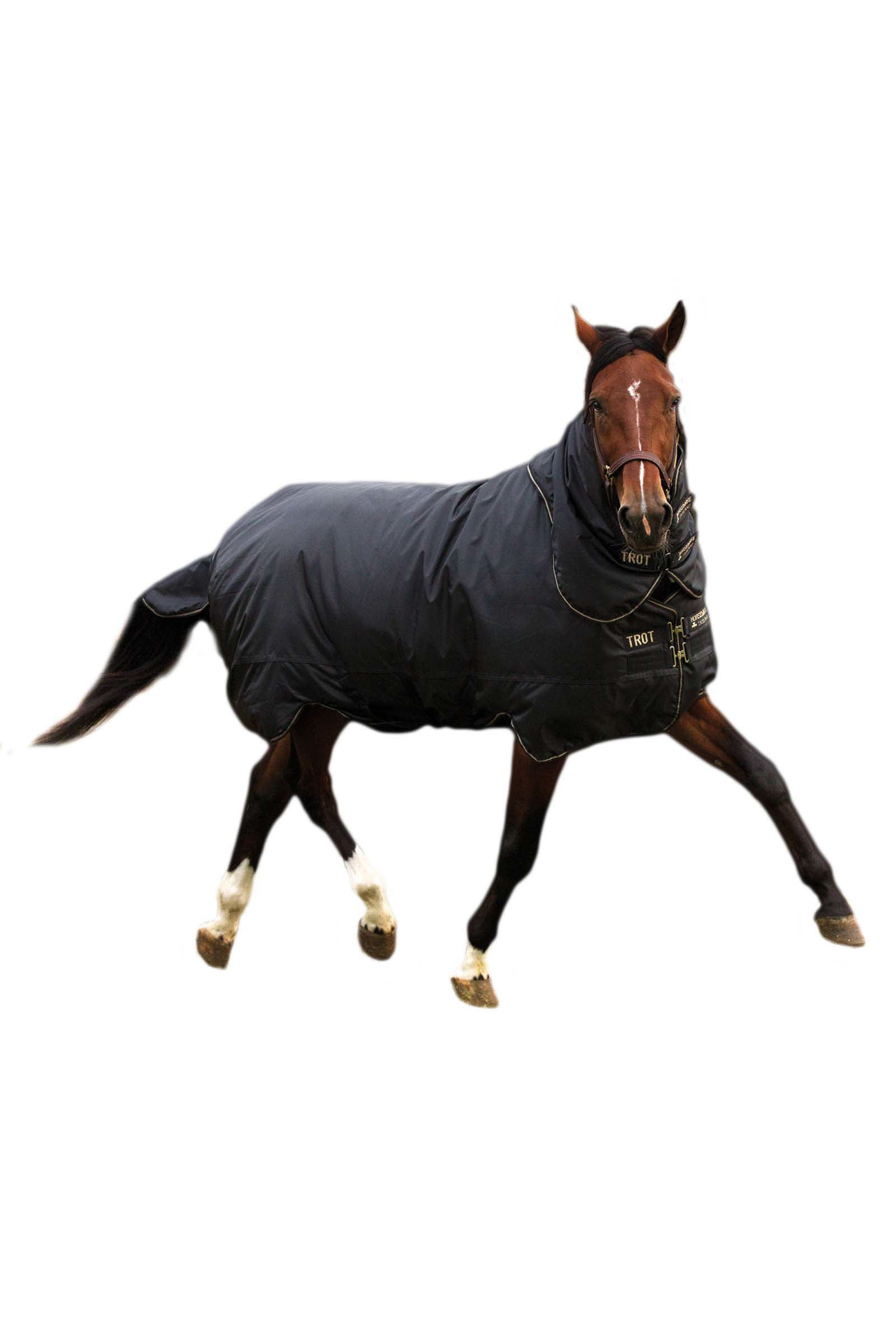 Horseware Trot Plus Utet&auml;cke med avtagbart halst&auml;cke, 350g