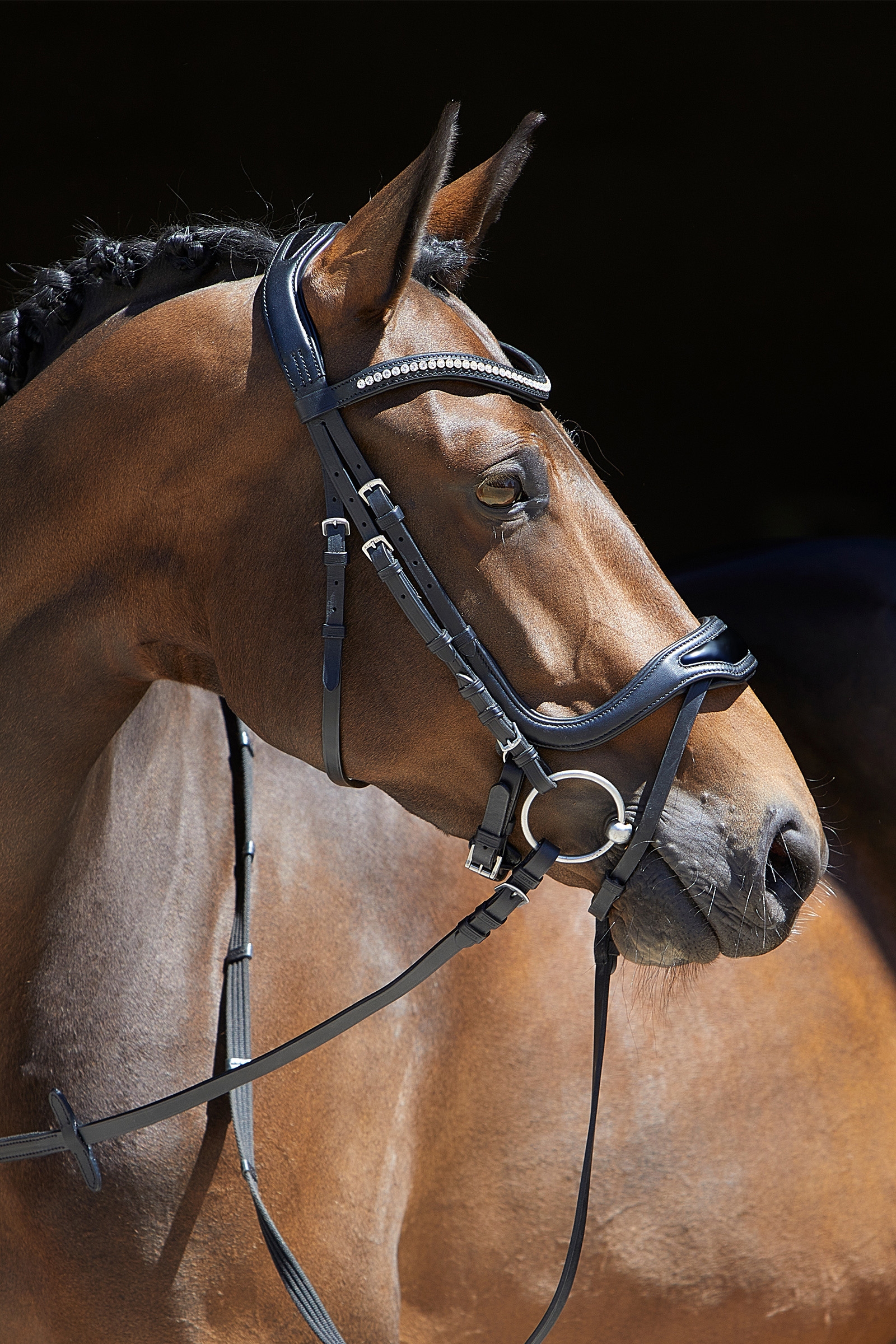 Kieffer Anouk Softtech Line Bridle
