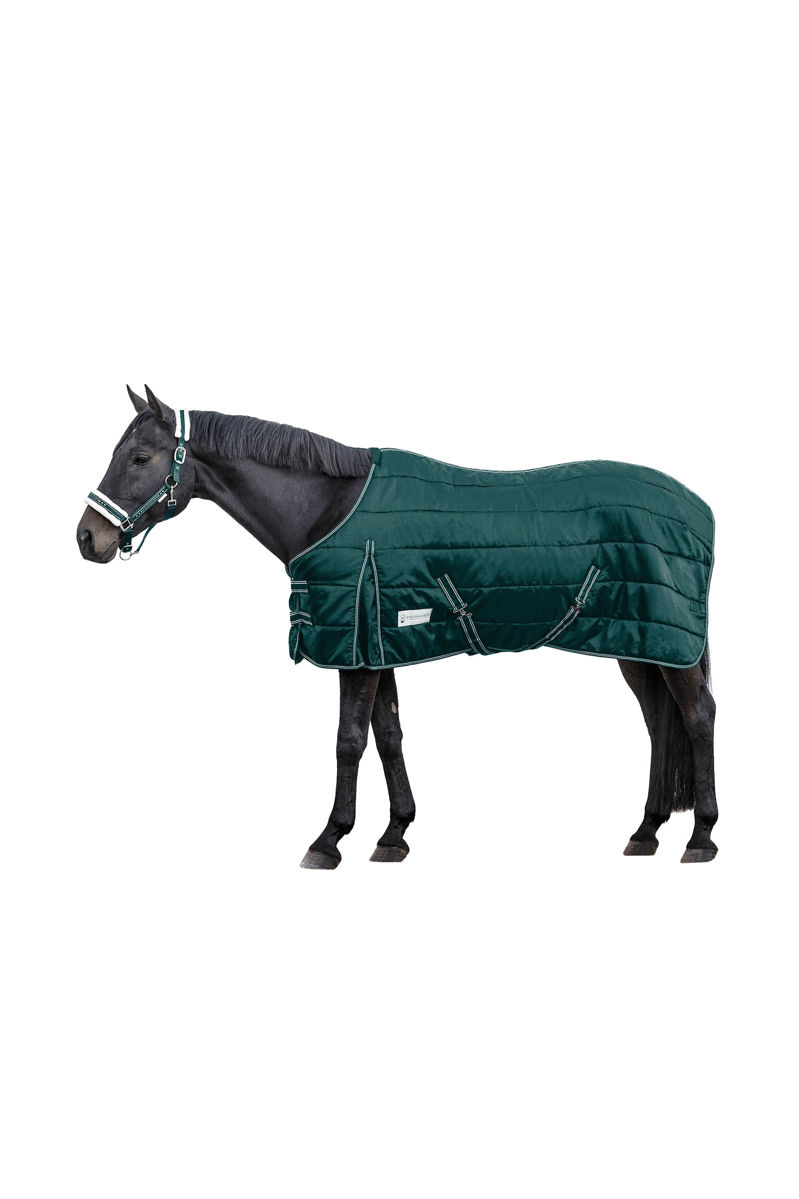 Waldhausen Stable Rug Economic 300 g